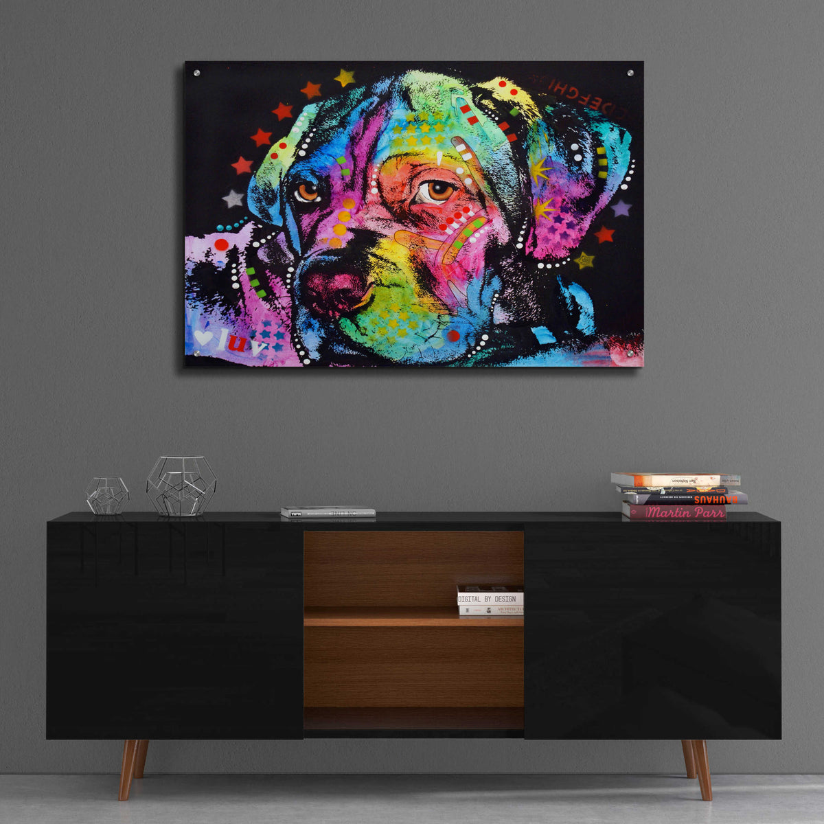 Epic Art 'Young Mastiff' by Dean Russo, Acrylic Glass Wall Art,36x24