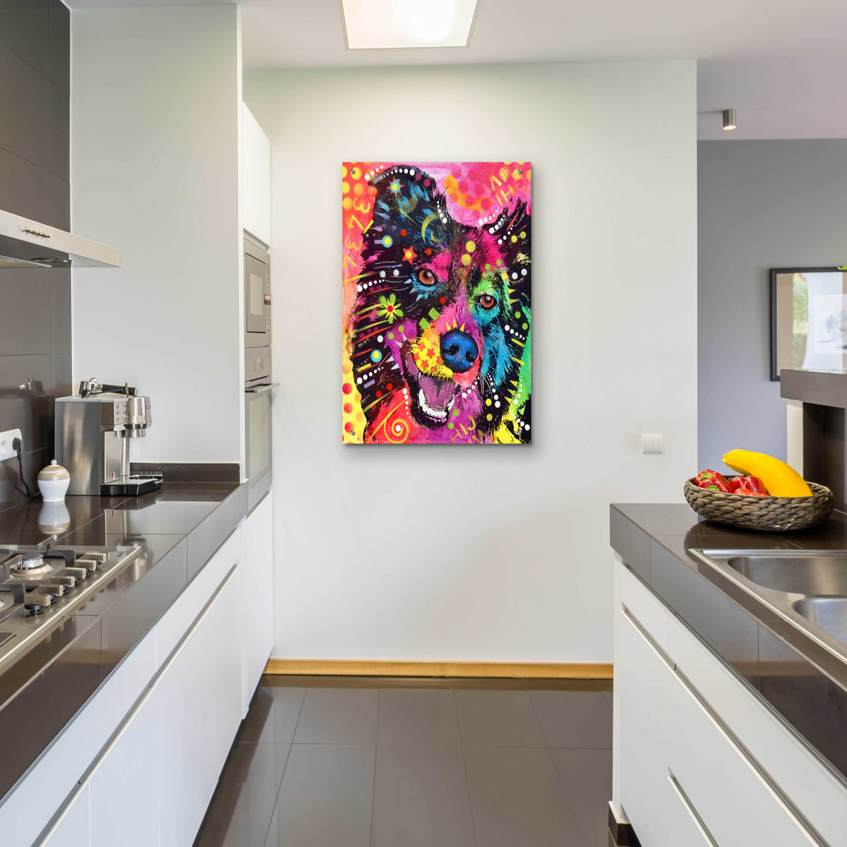 Epic Art 'Border Collie 2' by Dean Russo, Acrylic Glass Wall Art,24x36