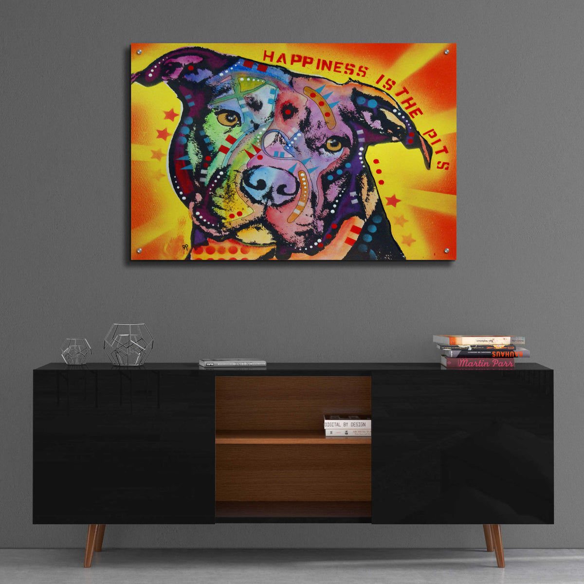 Epic Art 'Happiness Is The Pits Sunray' by Dean Russo, Acrylic Glass Wall Art,36x24
