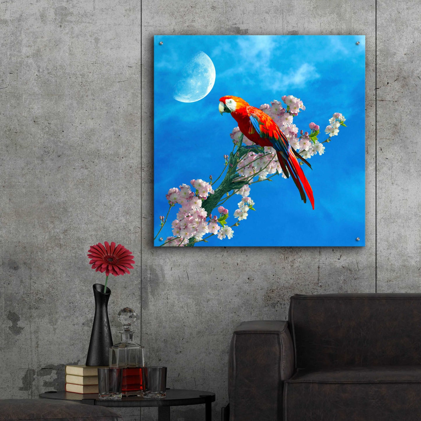 Epic Art 'Red Parrot' by Ata Alishahi, Acrylic Glass Wall Art,36x36