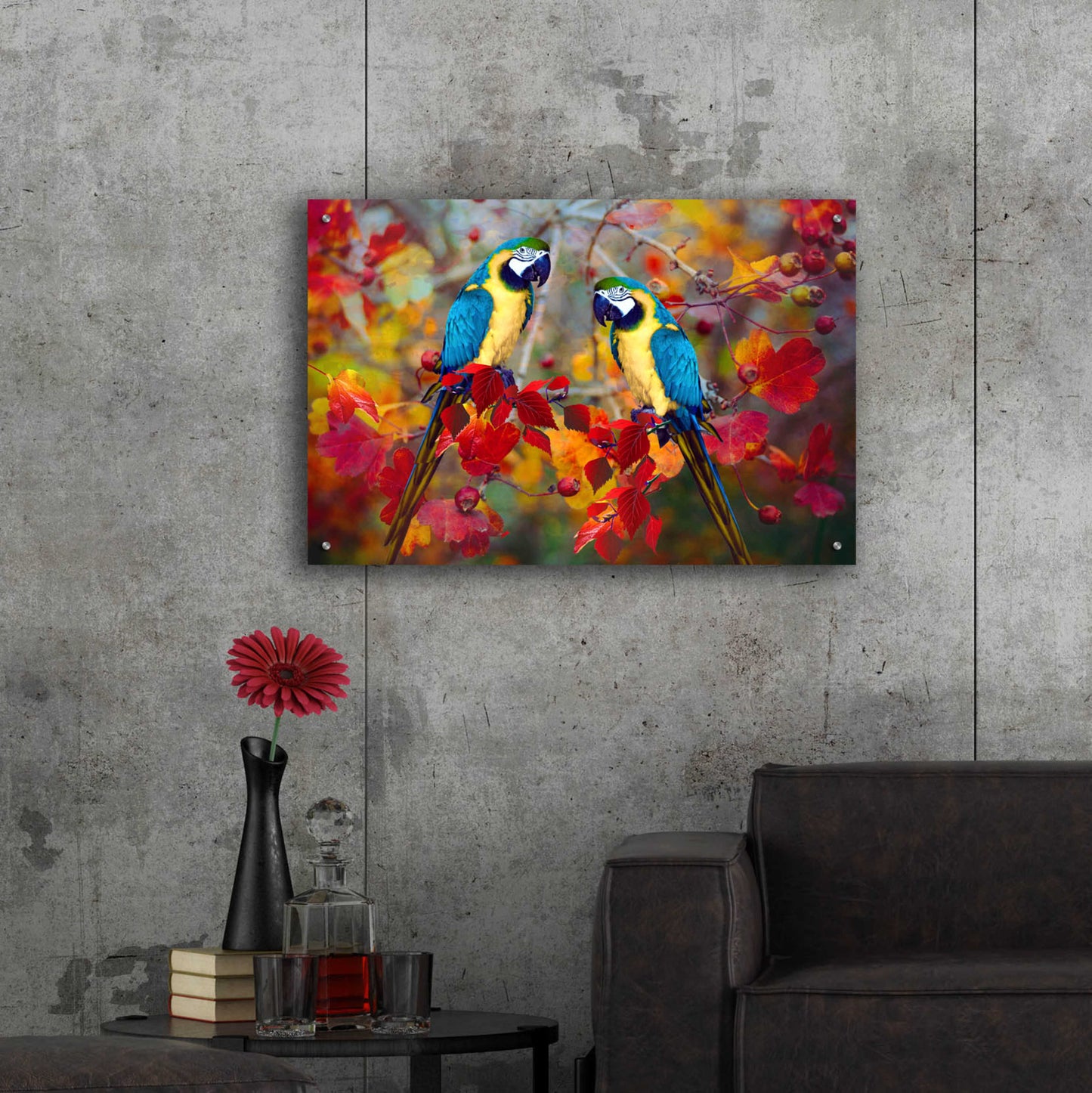 Epic Art 'Bird Collection 19' by Ata Alishahi, Acrylic Glass Wall Art,36x24