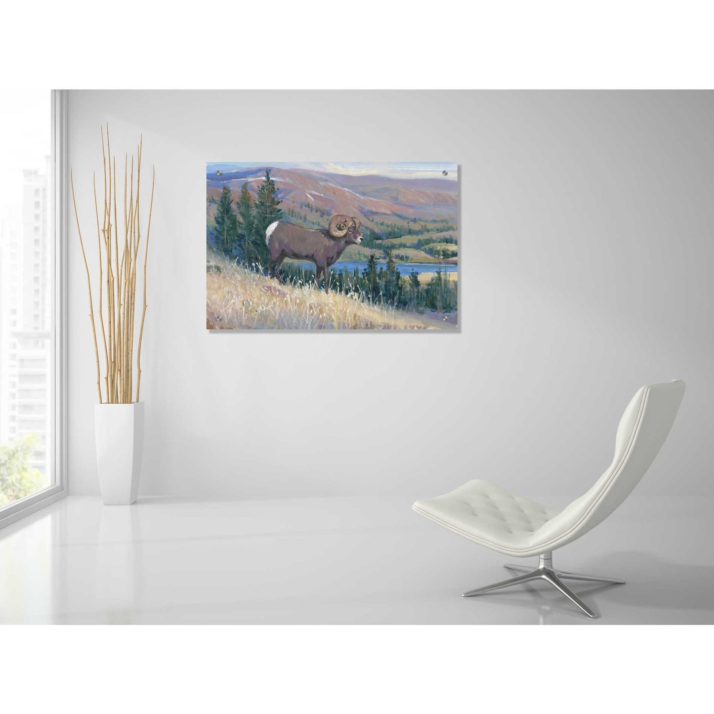 Epic Art 'Animals of the West III' by Tim O'Toole, Acrylic Glass Wall Art,36x24