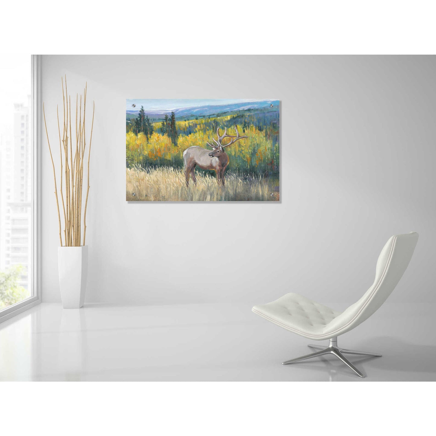 Epic Art 'View From the Top I' by Tim O'Toole, Acrylic Glass Wall Art,36x24