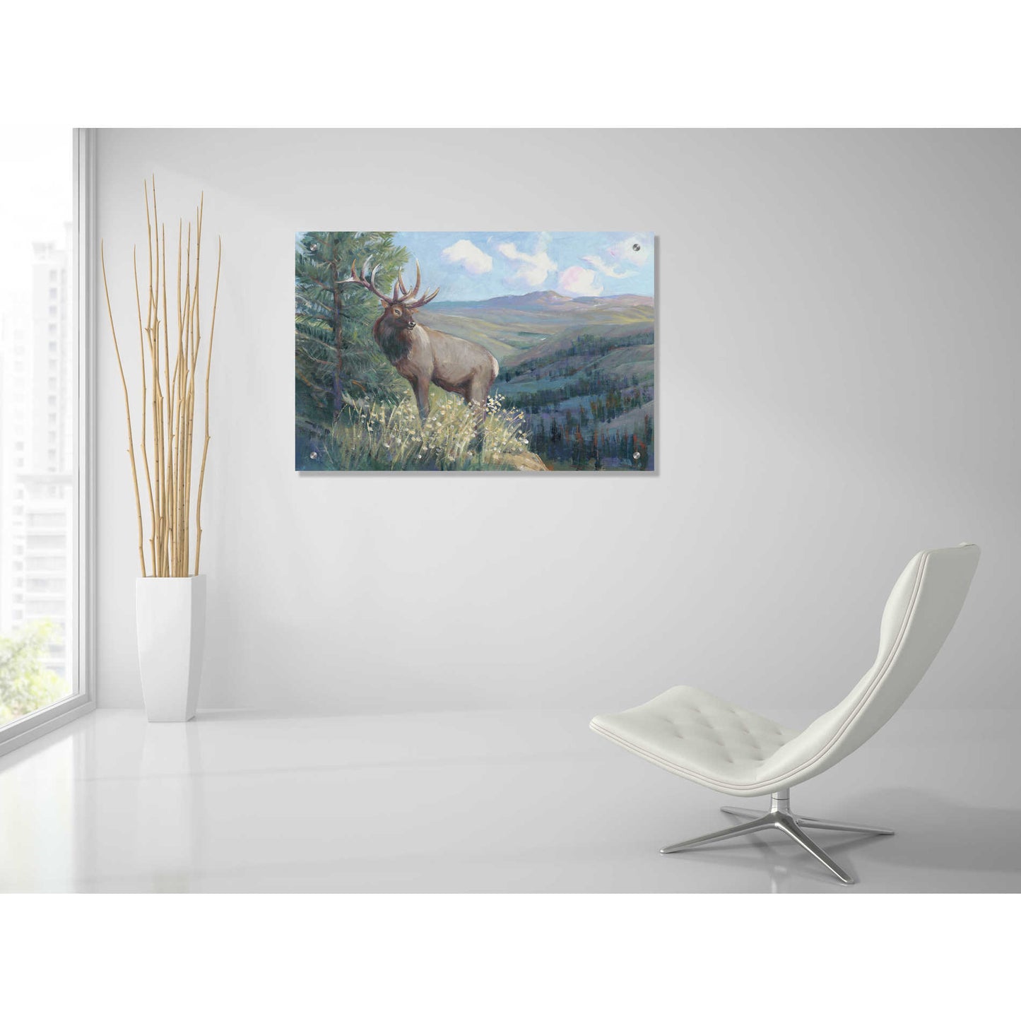 Epic Art 'View From the Top II' by Tim O'Toole, Acrylic Glass Wall Art,36x24