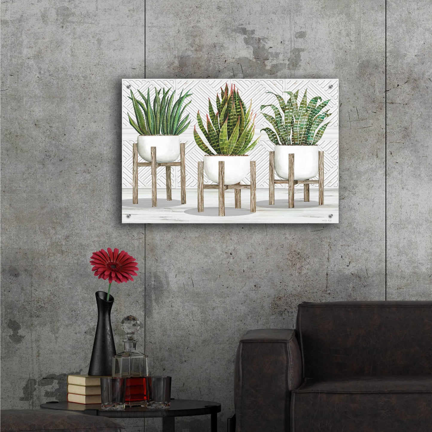 Epic Art 'Succulent Trio on Stands' by Cindy Jacobs, Acrylic Glass Wall Art,36x24