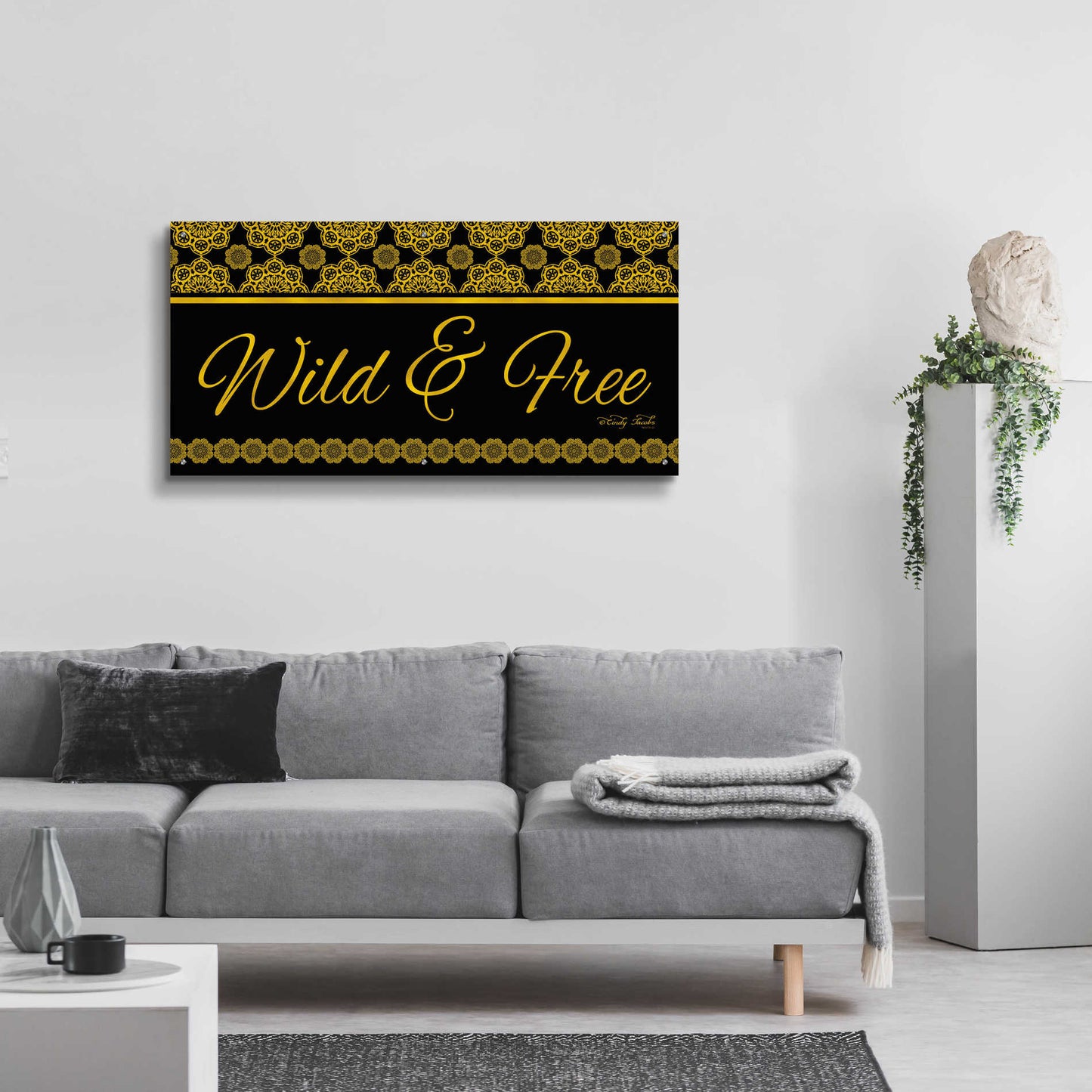 Epic Art 'Wild and Free Mandalas' by Cindy Jacobs, Acrylic Glass Wall Art,48x24