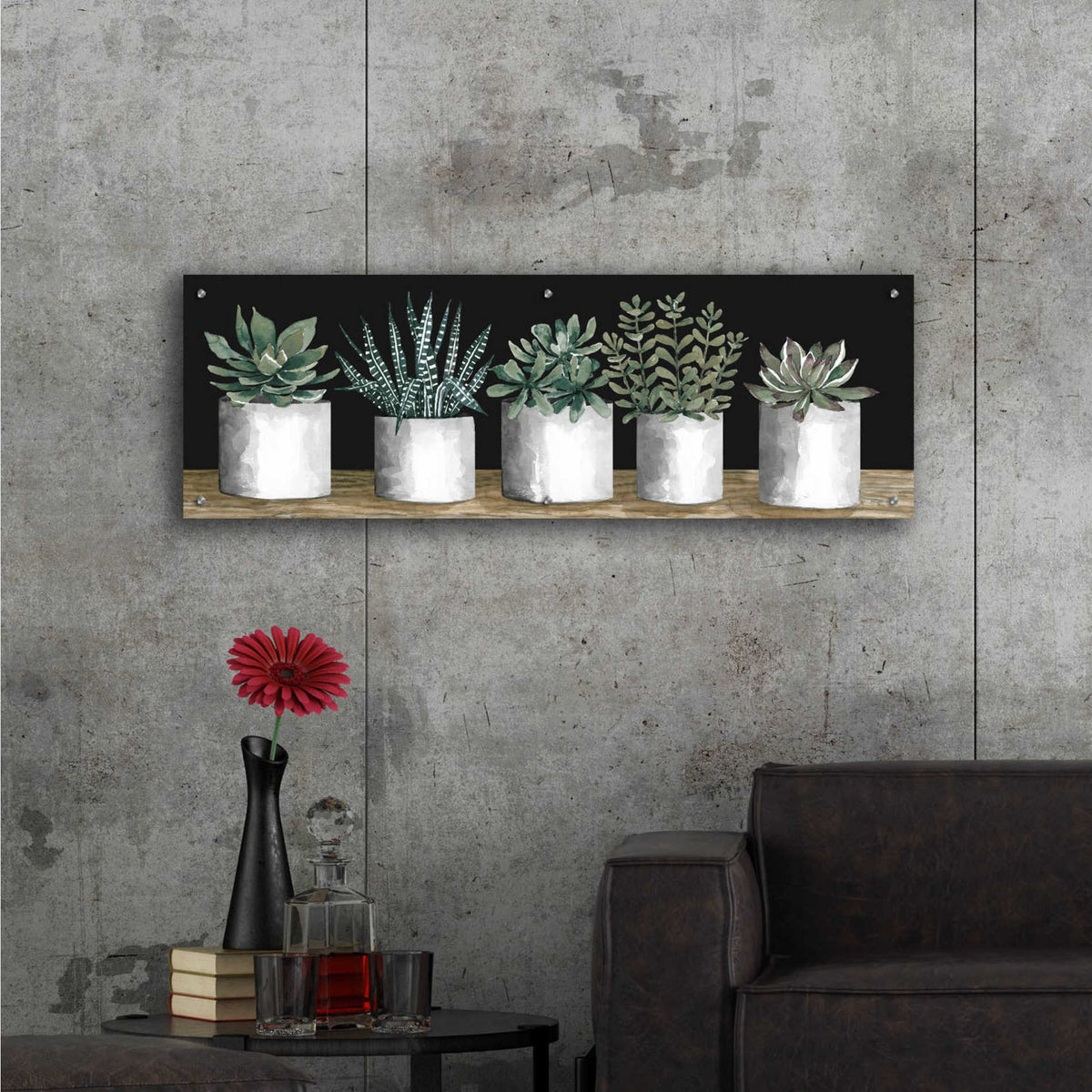 Epic Art 'Succulent Row' by Cindy Jacobs, Acrylic Glass Wall Art,48x16