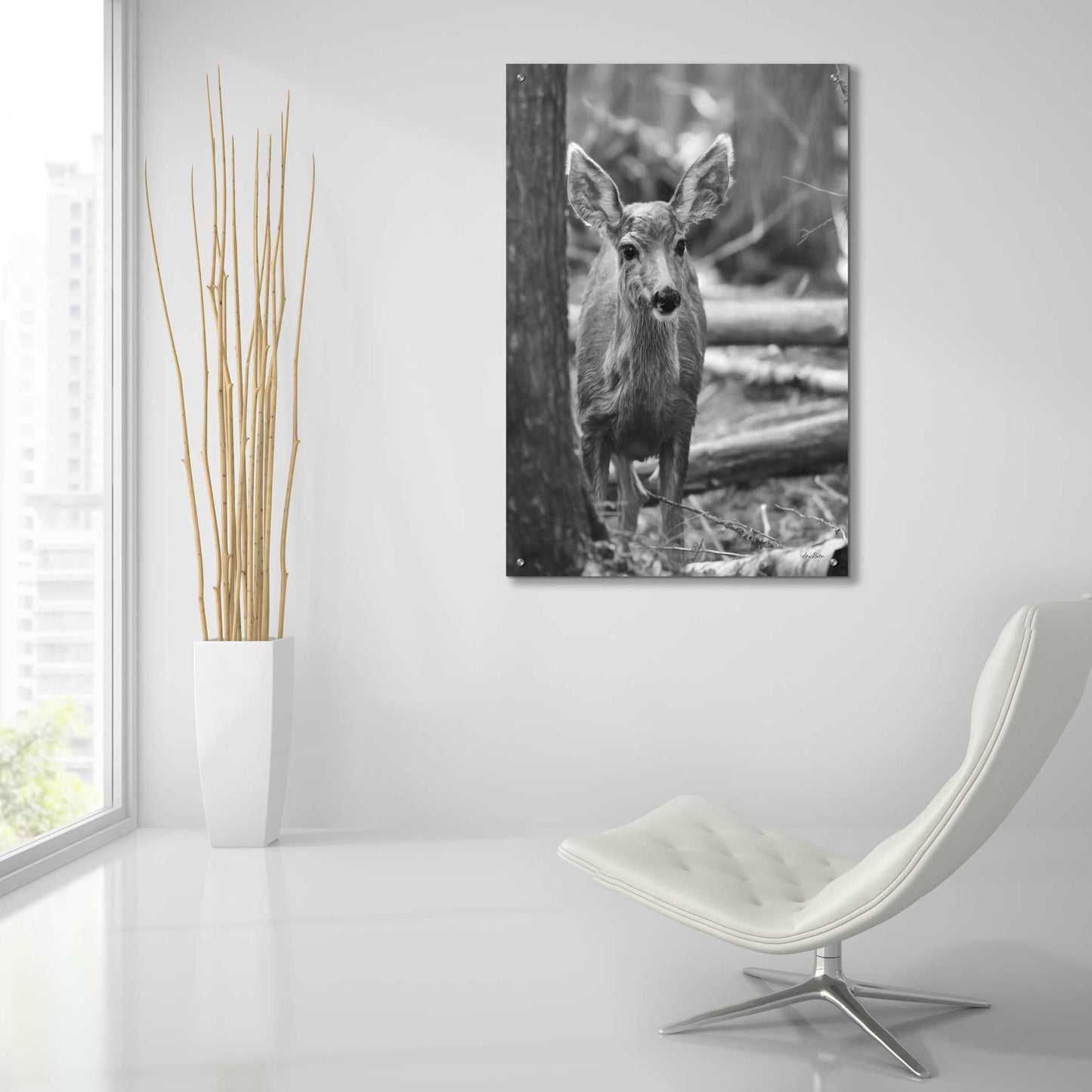 Epic Art 'Rocky Mountains Deer' by Lori Deiter Acrylic Glass Wall Art,24x36