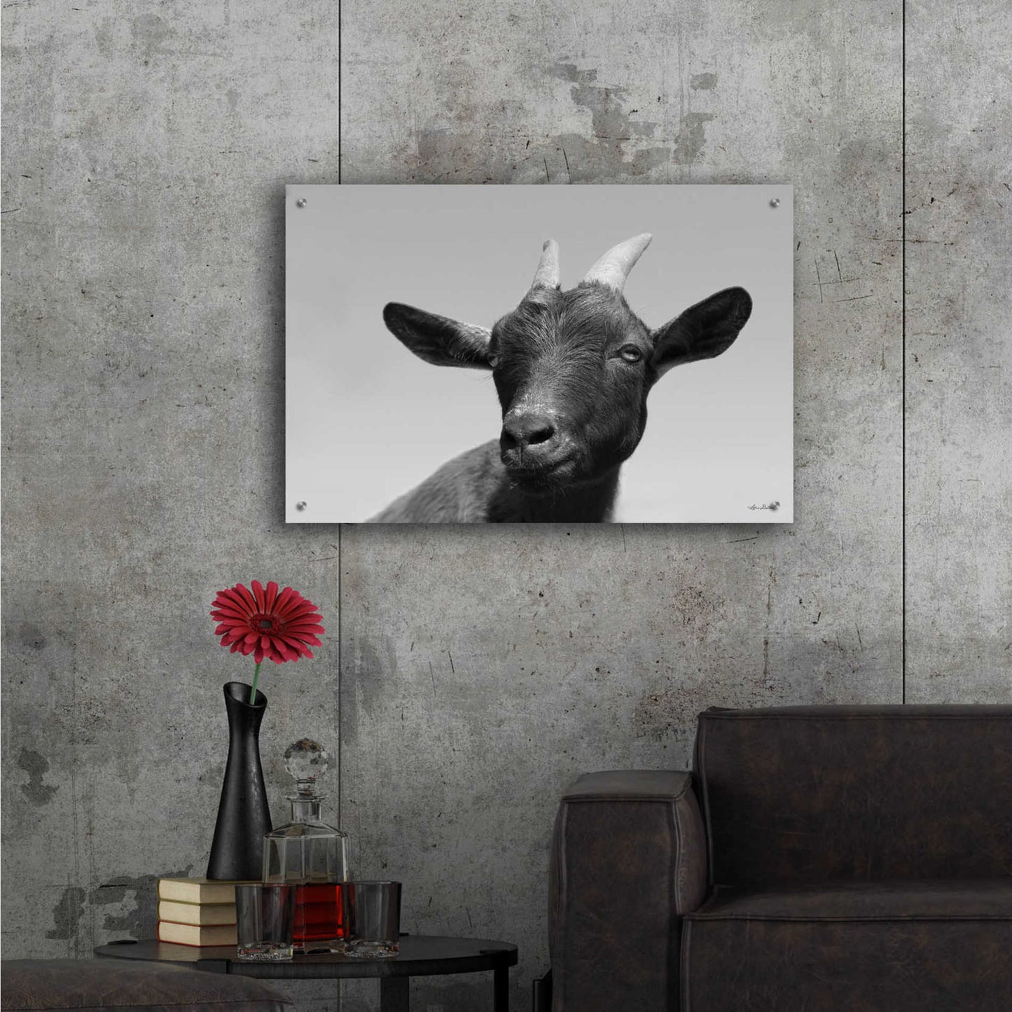 Epic Art 'Lake Tobias Goat I' by Lori Deiter Acrylic Glass Wall Art,36x24