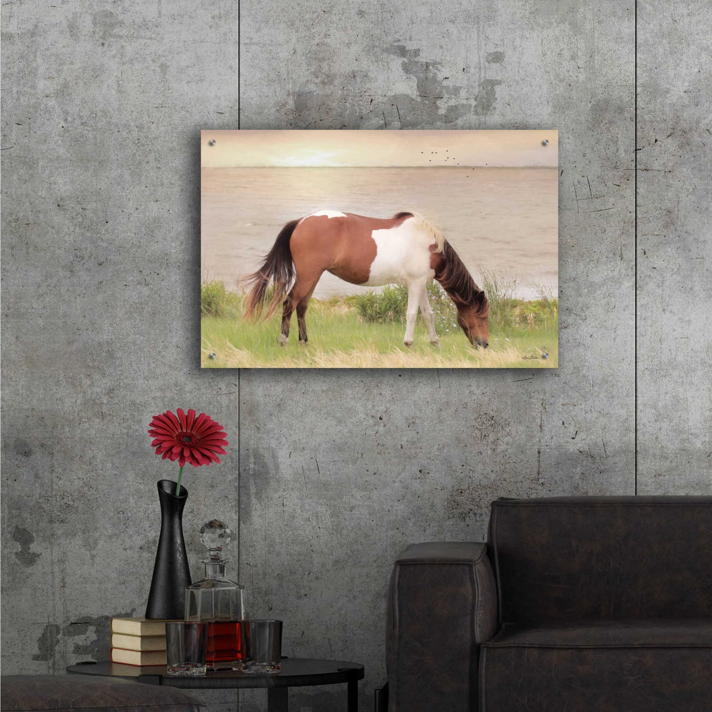 Epic Art 'Grazing on Assateague Island' by Lori Deiter Acrylic Glass Wall Art,36x24