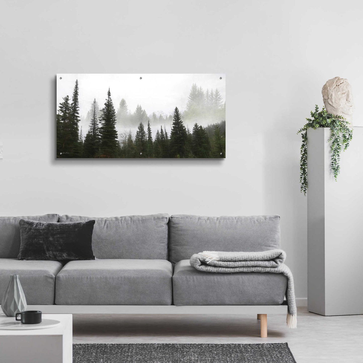 Epic Art 'Schwabachers Landing Trees' by Lori Deiter Acrylic Glass Wall Art,48x24