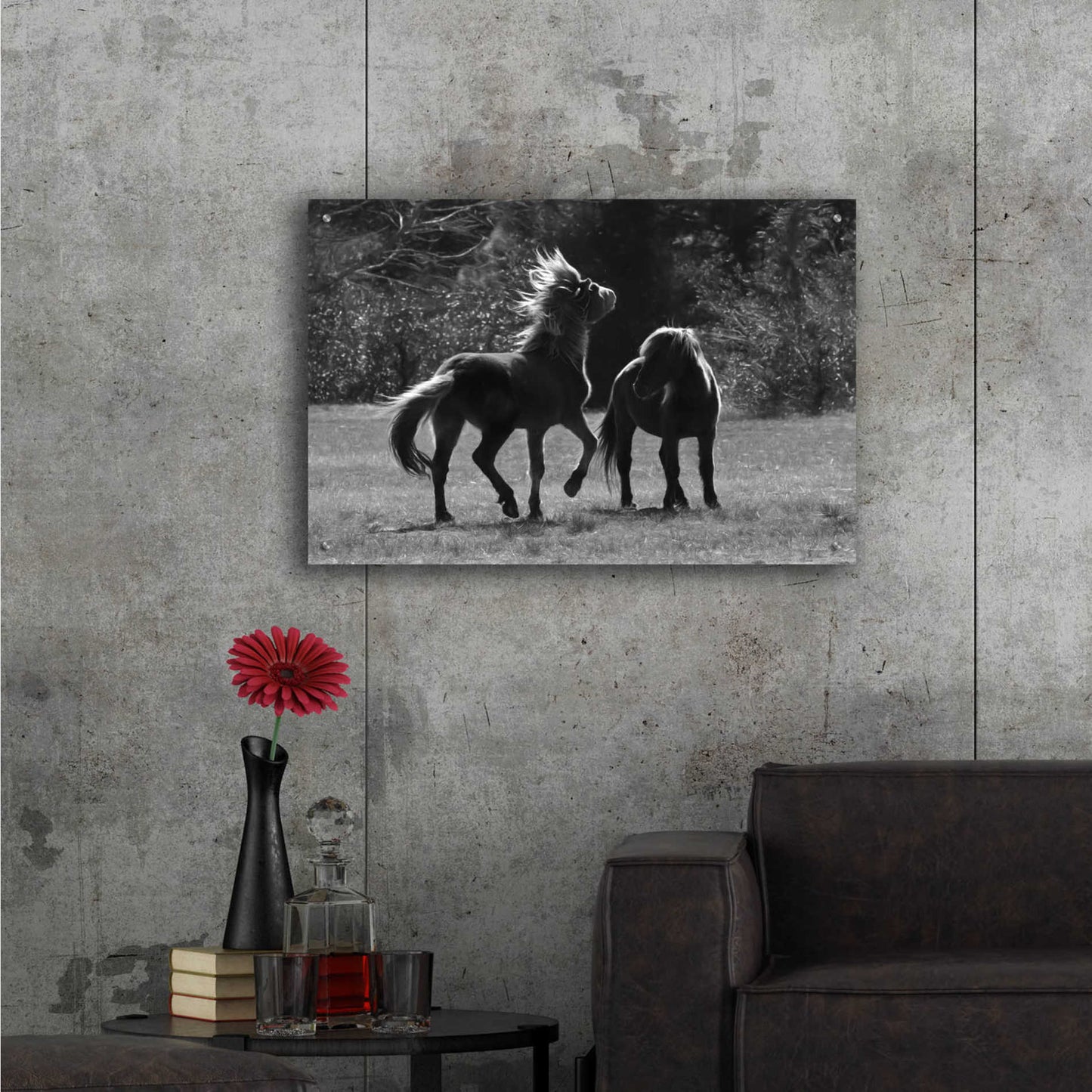 Epic Art 'Black & White Assateague Horses' by Lori Deiter Acrylic Glass Wall Art,36x24