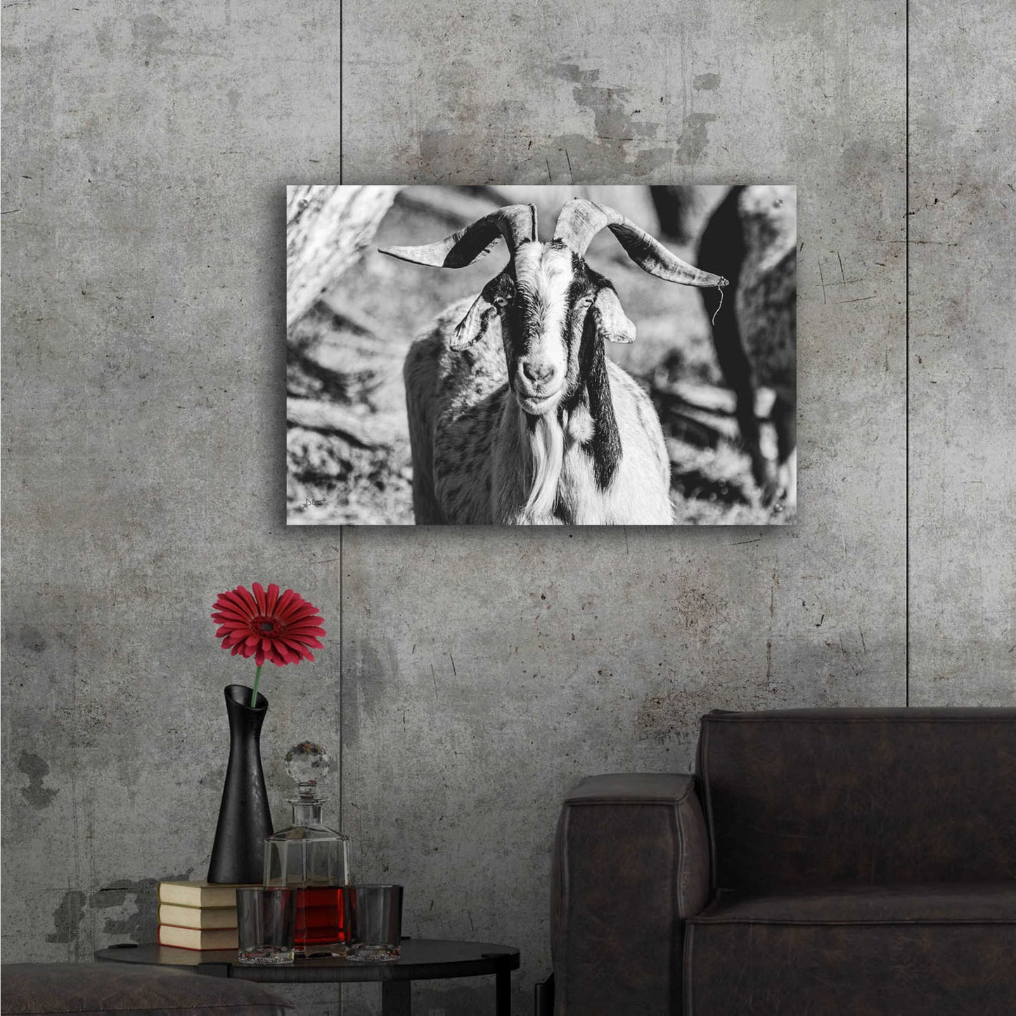 Epic Art 'Bearded Goat' by Donnie Quillen, Acrylic Glass Wall Art,36x24