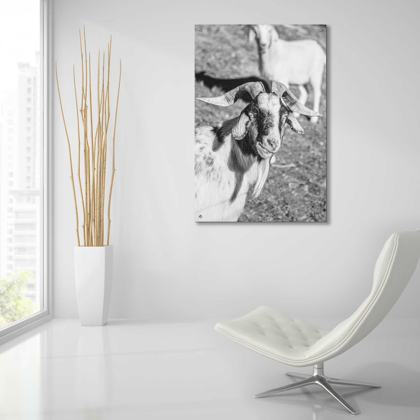 Epic Art 'Eating Goat' by Donnie Quillen, Acrylic Glass Wall Art,24x36