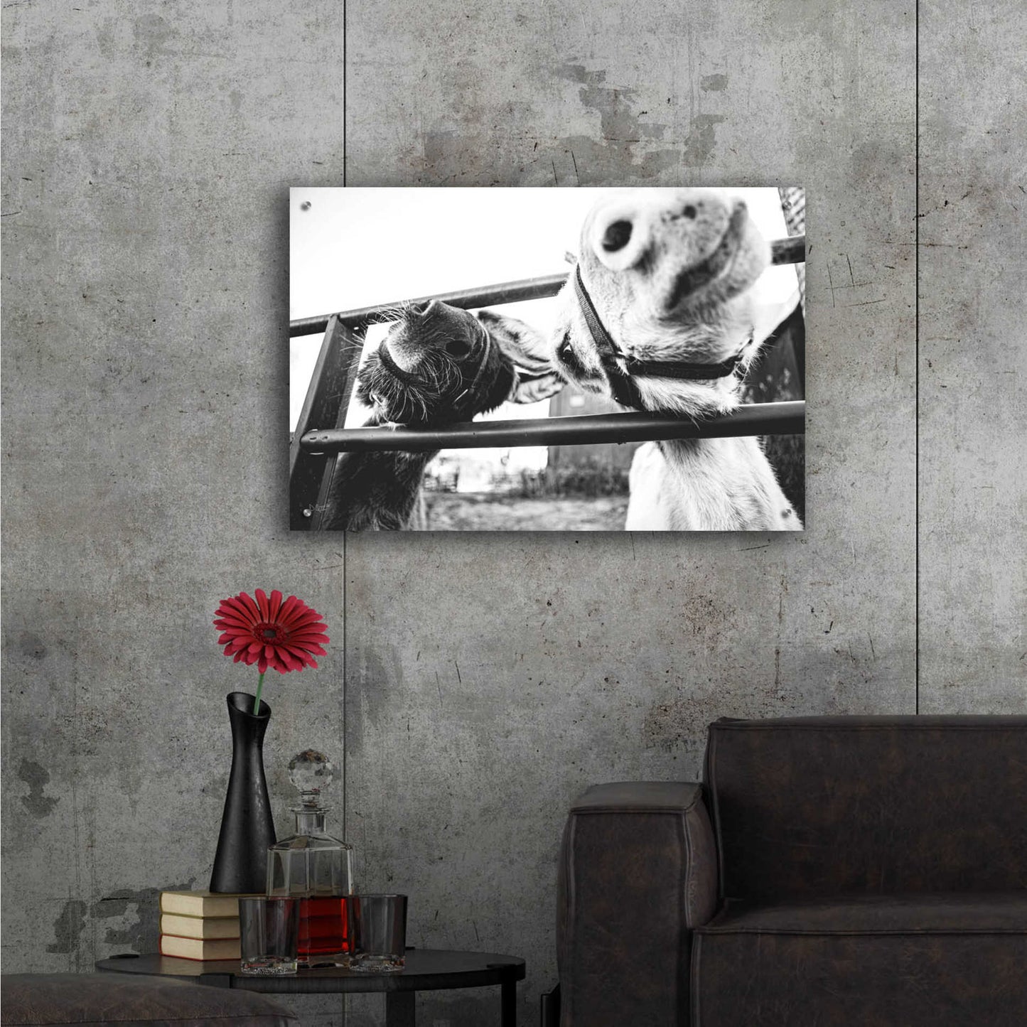 Epic Art 'Feeding Donkeys' by Donnie Quillen, Acrylic Glass Wall Art,36x24