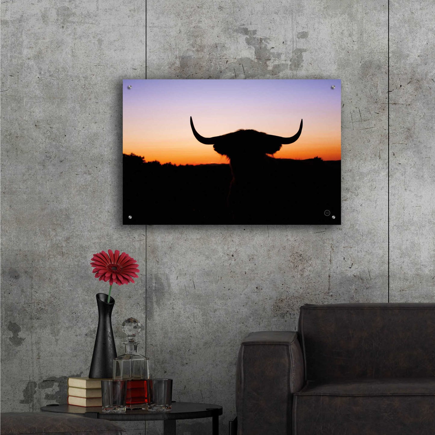 Epic Art 'Bull Set' by Nathan Larson, Acrylic Glass Wall Art,36x24