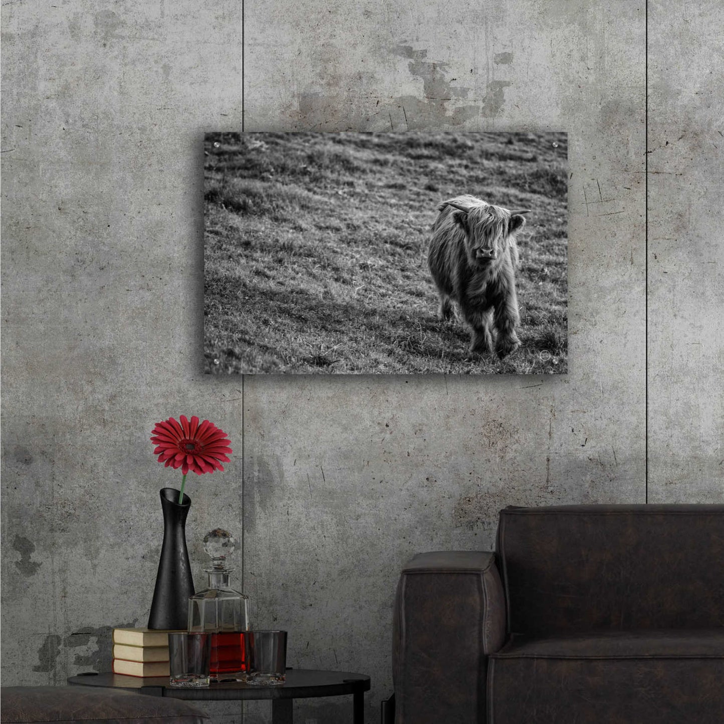 Epic Art 'Highland Cow Calf in the Wind' by Nathan Larson, Acrylic Glass Wall Art,36x24