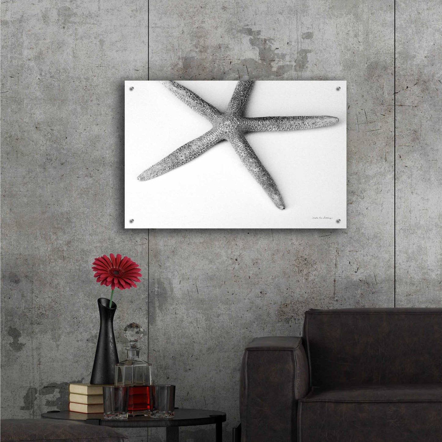 Epic Art 'Starfish Detail' by Debra Van Swearingen, Acrylic Glass Wall Art,36x24