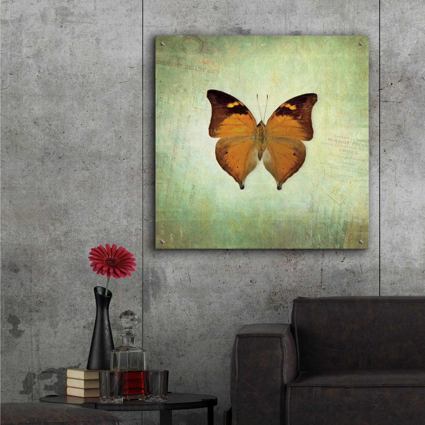Epic Art 'French Butterfly VII' by Debra Van Swearingen, Acrylic Glass Wall Art,36x36