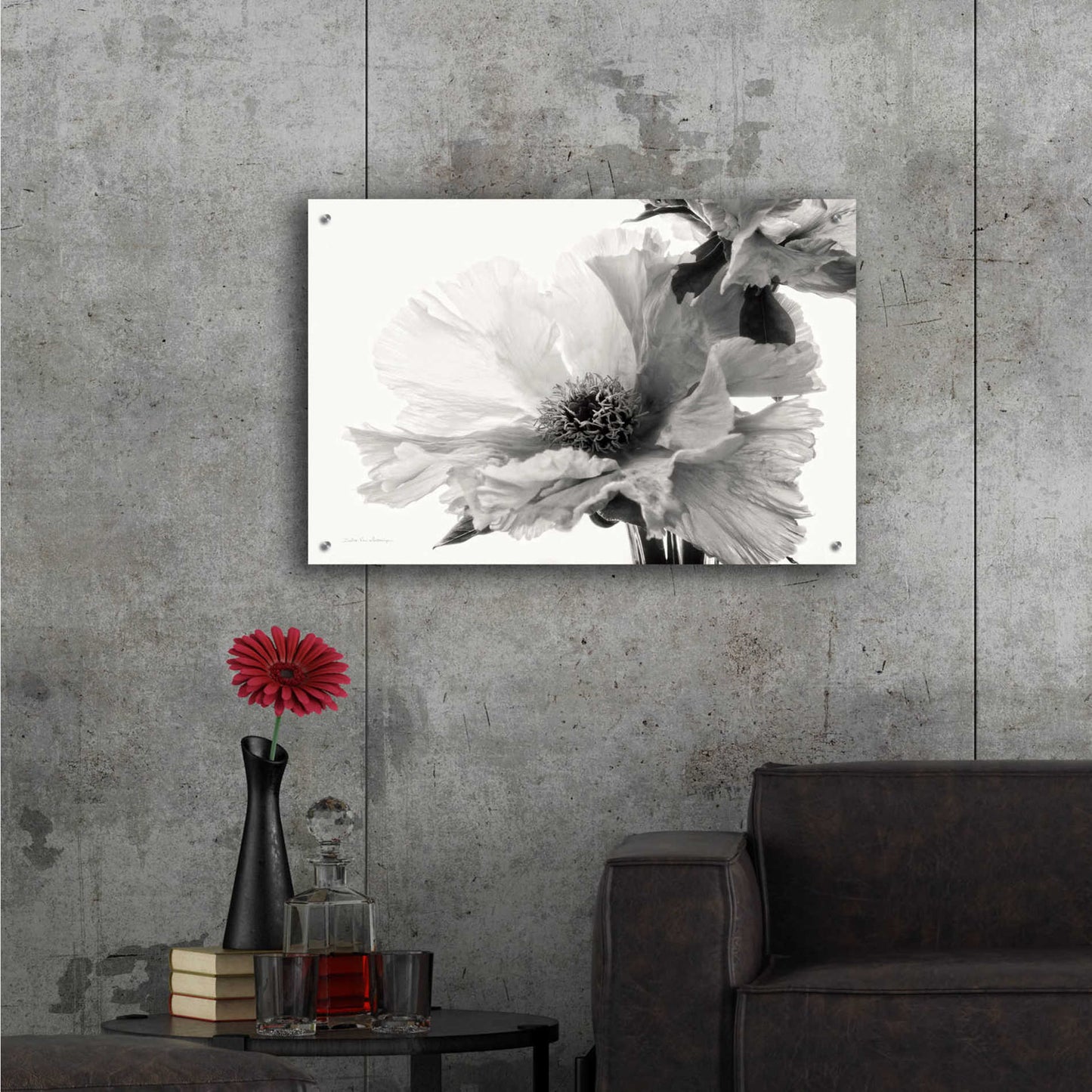 Epic Art 'Translucent Peony VBW' by Debra Van Swearingen, Acrylic Glass Wall Art,36x24