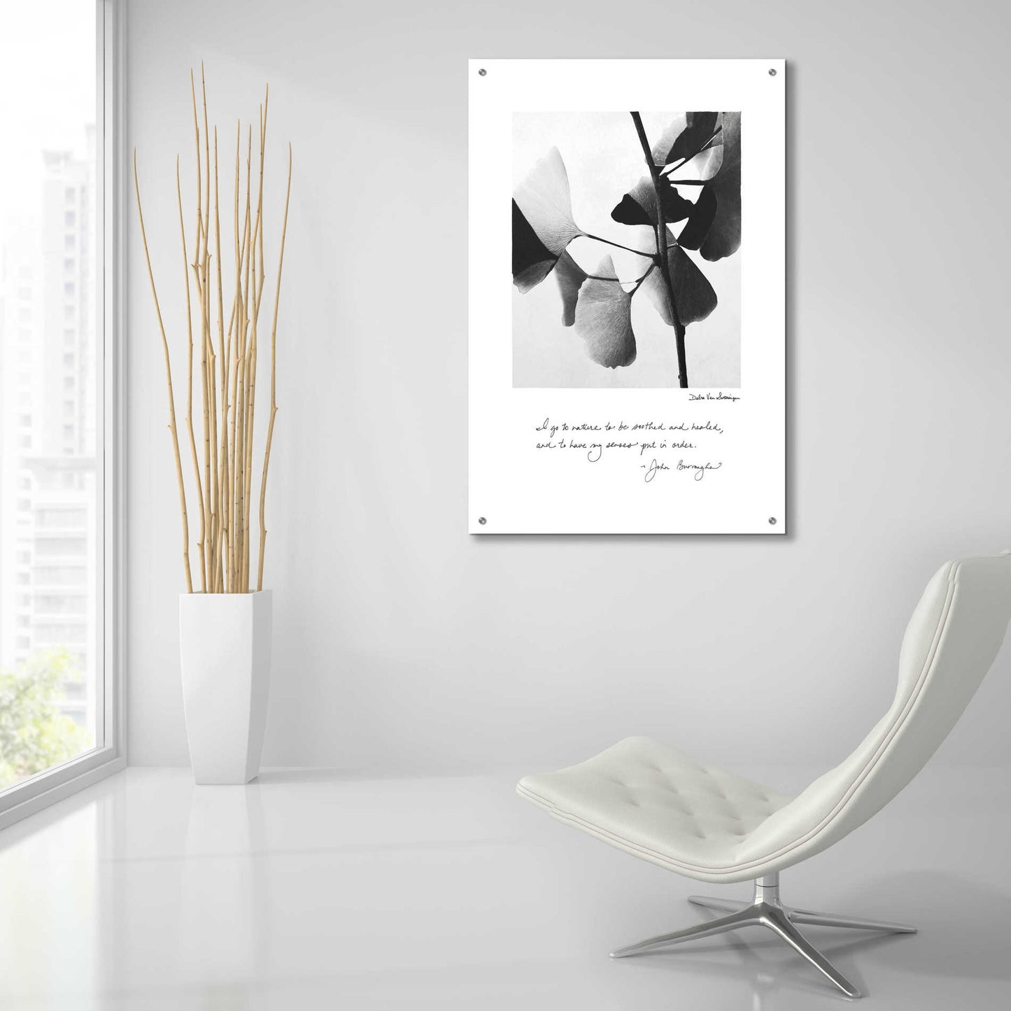Epic Art 'Delicate Ginkgo v2' by Debra Van Swearingen, Acrylic Glass Wall Art,24x36
