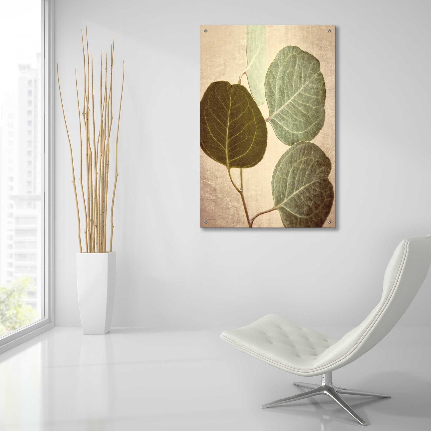 Epic Art 'Eucalyptus Color' by Debra Van Swearingen, Acrylic Glass Wall Art,24x36