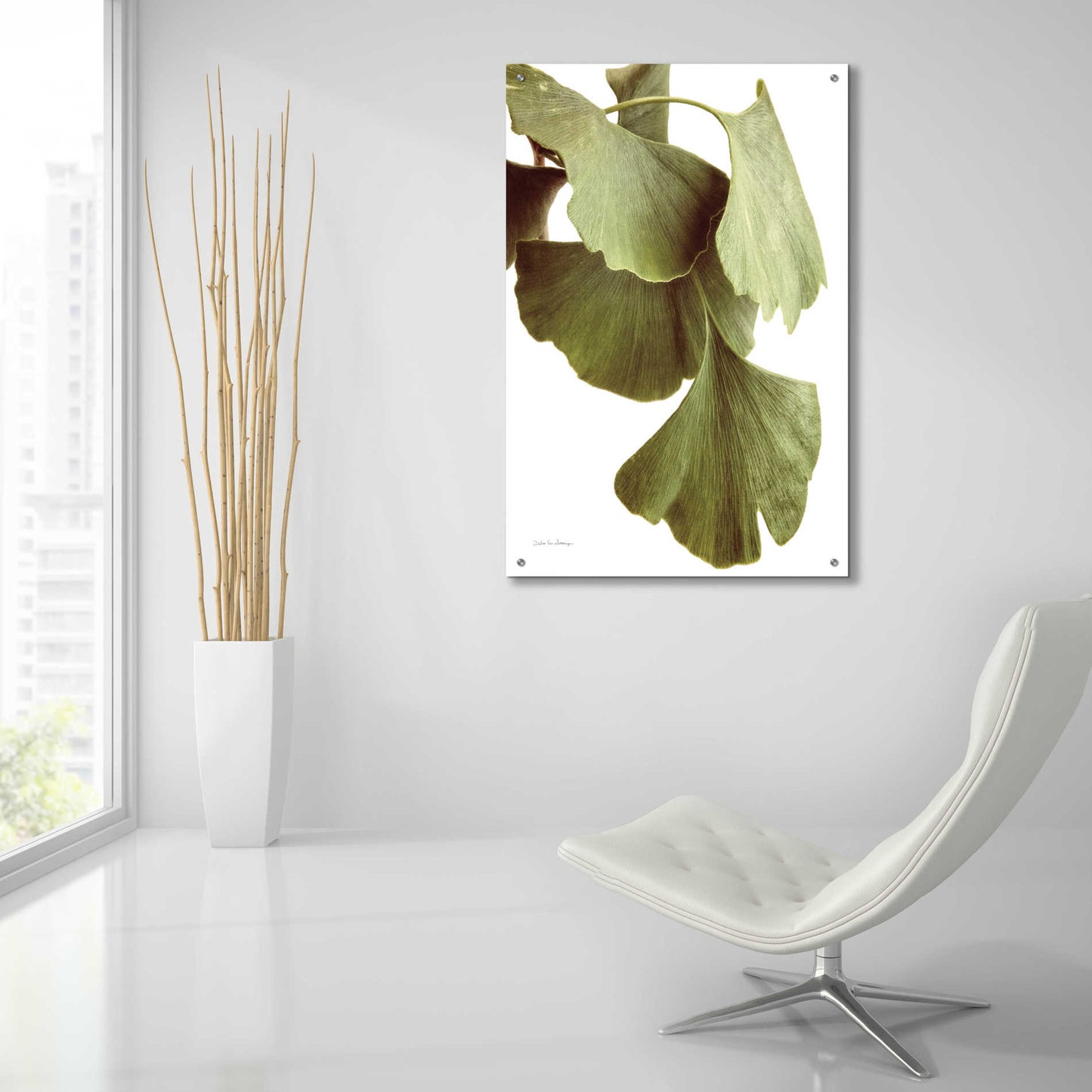 Epic Art 'Ginko Color on White' by Debra Van Swearingen, Acrylic Glass Wall Art,24x36