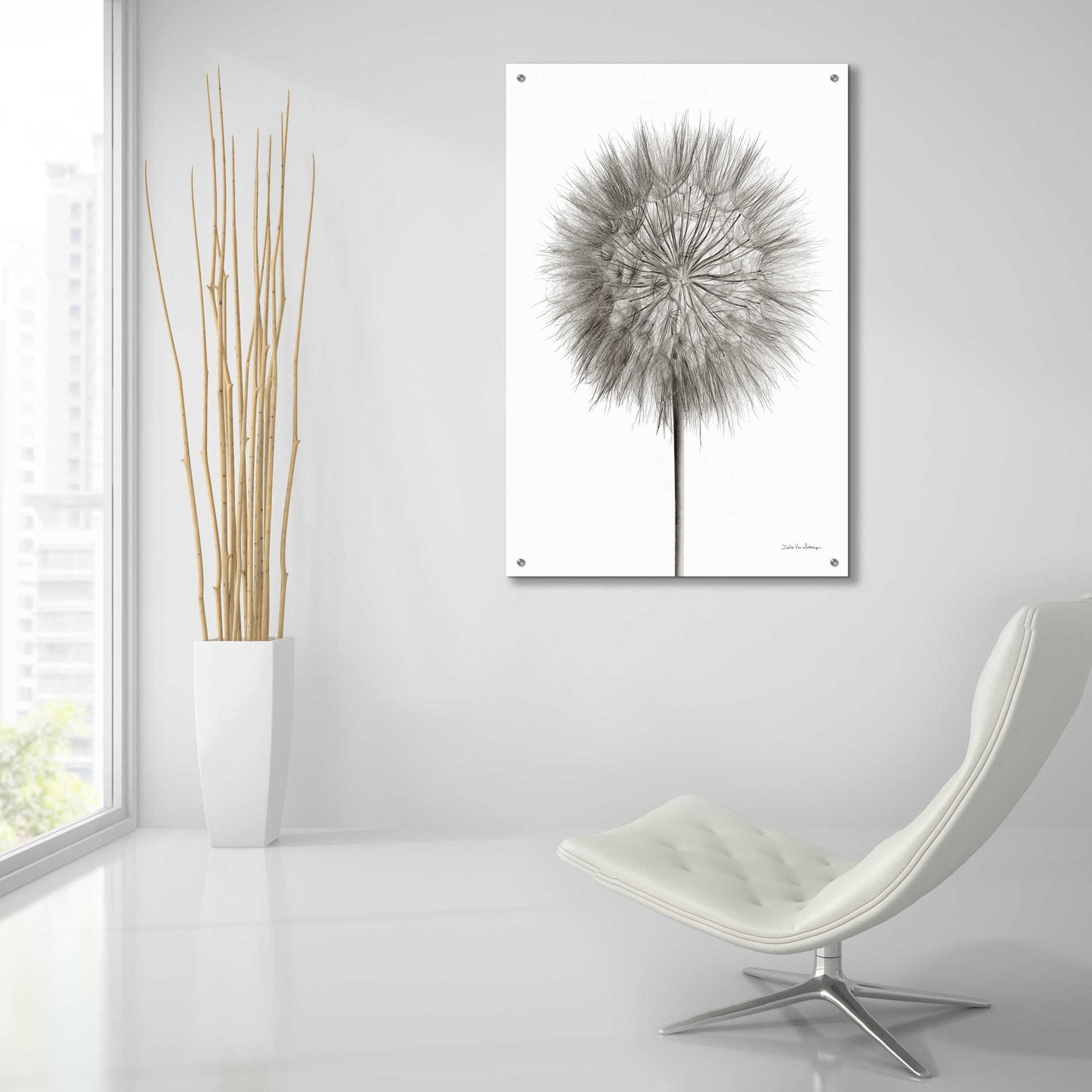 Epic Art 'Dandelion Fluff on White' by Debra Van Swearingen, Acrylic Glass Wall Art,24x36