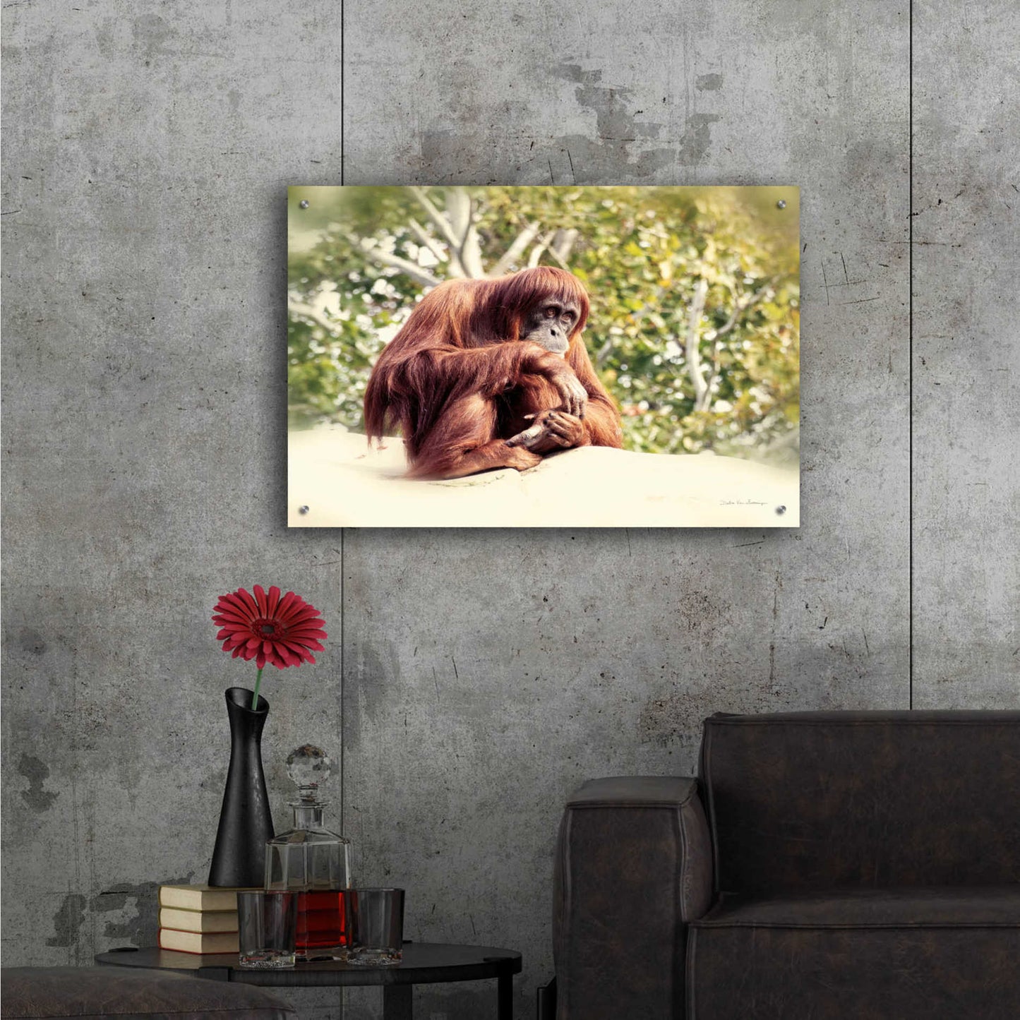 Epic Art 'Orangutan' by Debra Van Swearingen, Acrylic Glass Wall Art,36x24