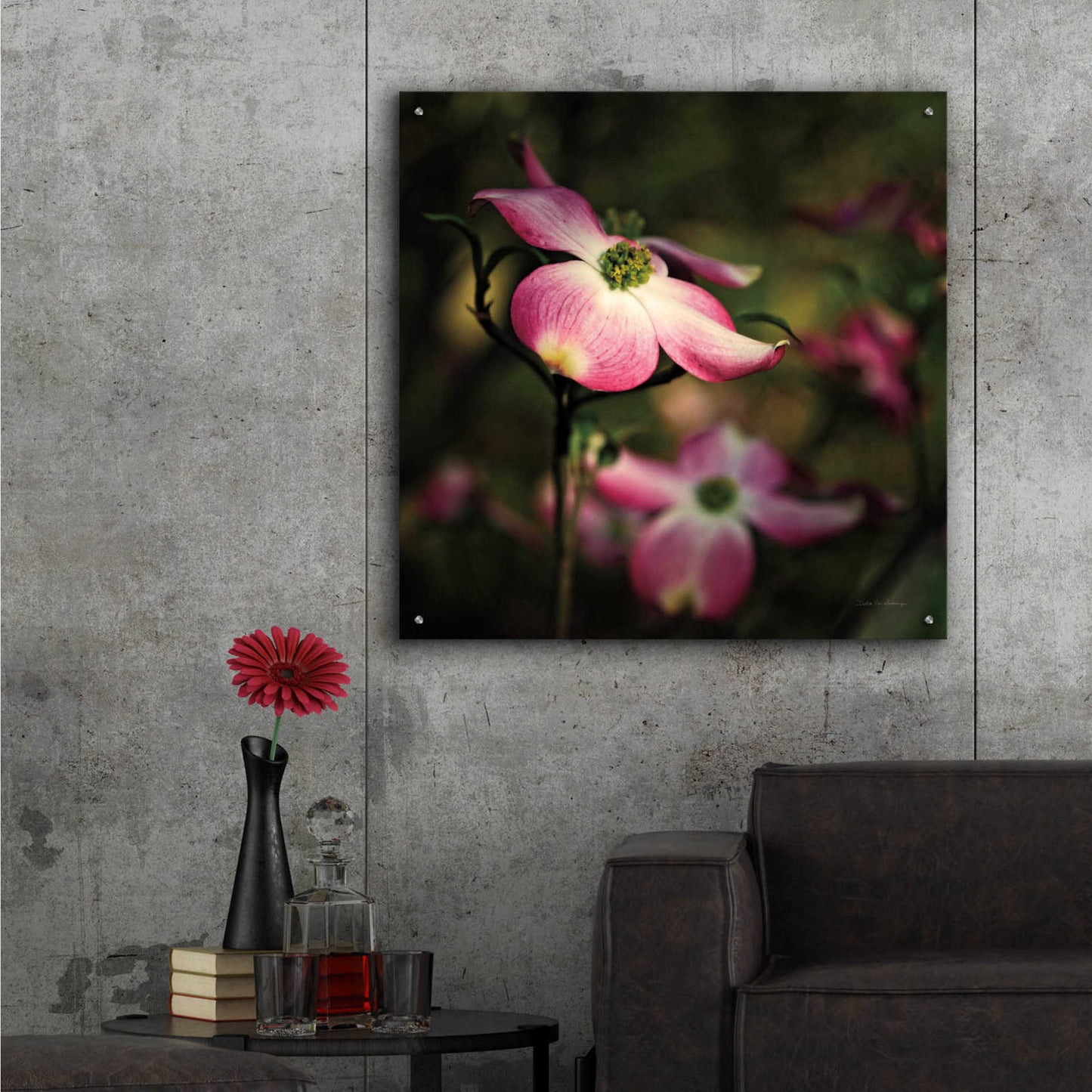 Epic Art 'Pink Dogwood II' by Debra Van Swearingen, Acrylic Glass Wall Art,36x36