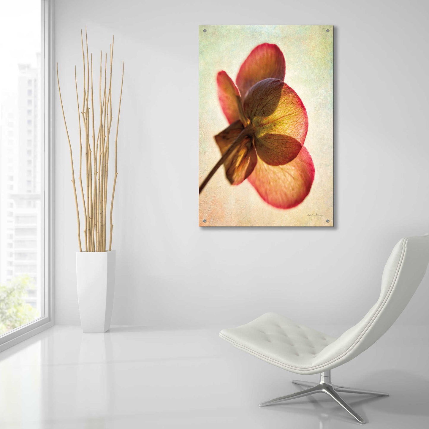 Epic Art 'Lenton Rose I' by Debra Van Swearingen, Acrylic Glass Wall Art,24x36