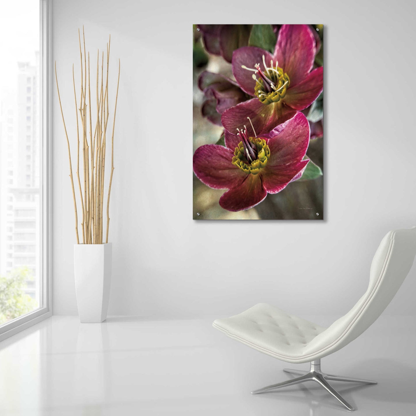Epic Art 'Lenton Rose V' by Debra Van Swearingen, Acrylic Glass Wall Art,24x36