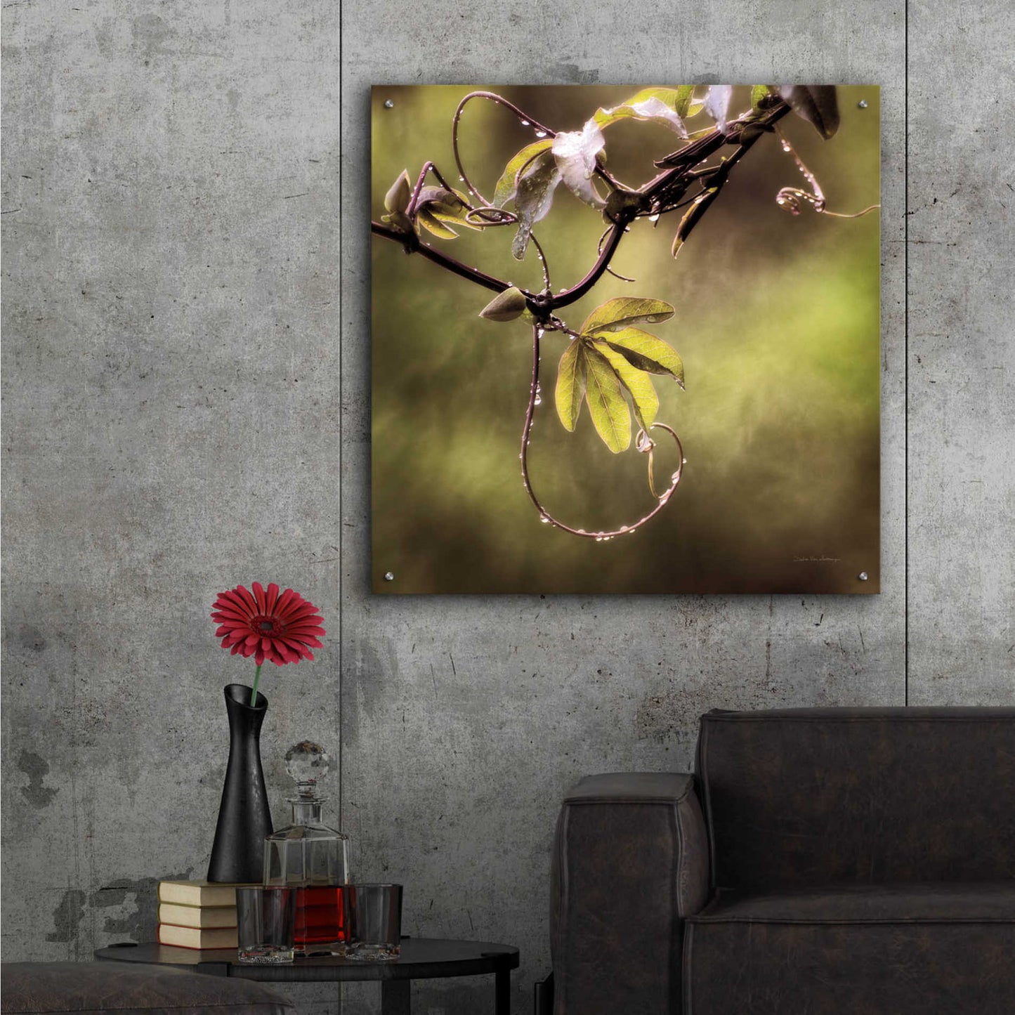 Epic Art 'Passion Flower Vine I' by Debra Van Swearingen, Acrylic Glass Wall Art,36x36