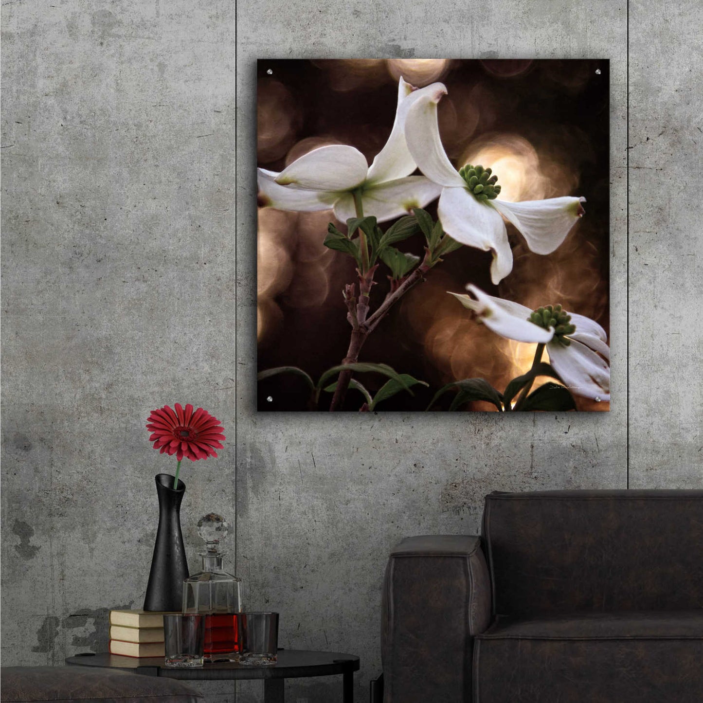Epic Art 'White Dogwood I' by Debra Van Swearingen, Acrylic Glass Wall Art,36x36