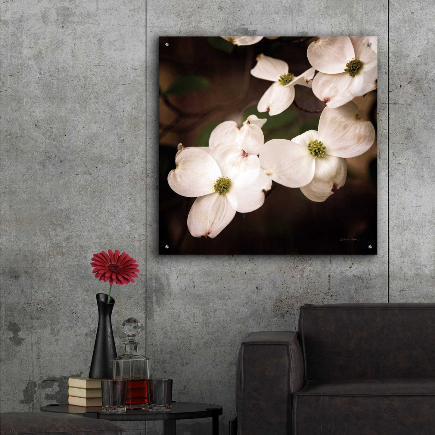 Epic Art 'White Dogwood III' by Debra Van Swearingen, Acrylic Glass Wall Art,36x36