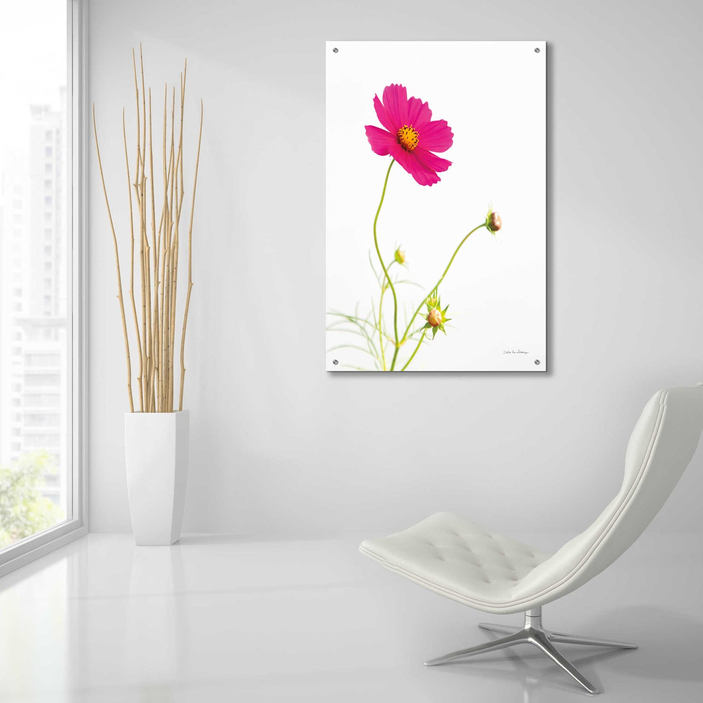 Epic Art 'Magenta Cosmos I' by Debra Van Swearingen, Acrylic Glass Wall Art,24x36