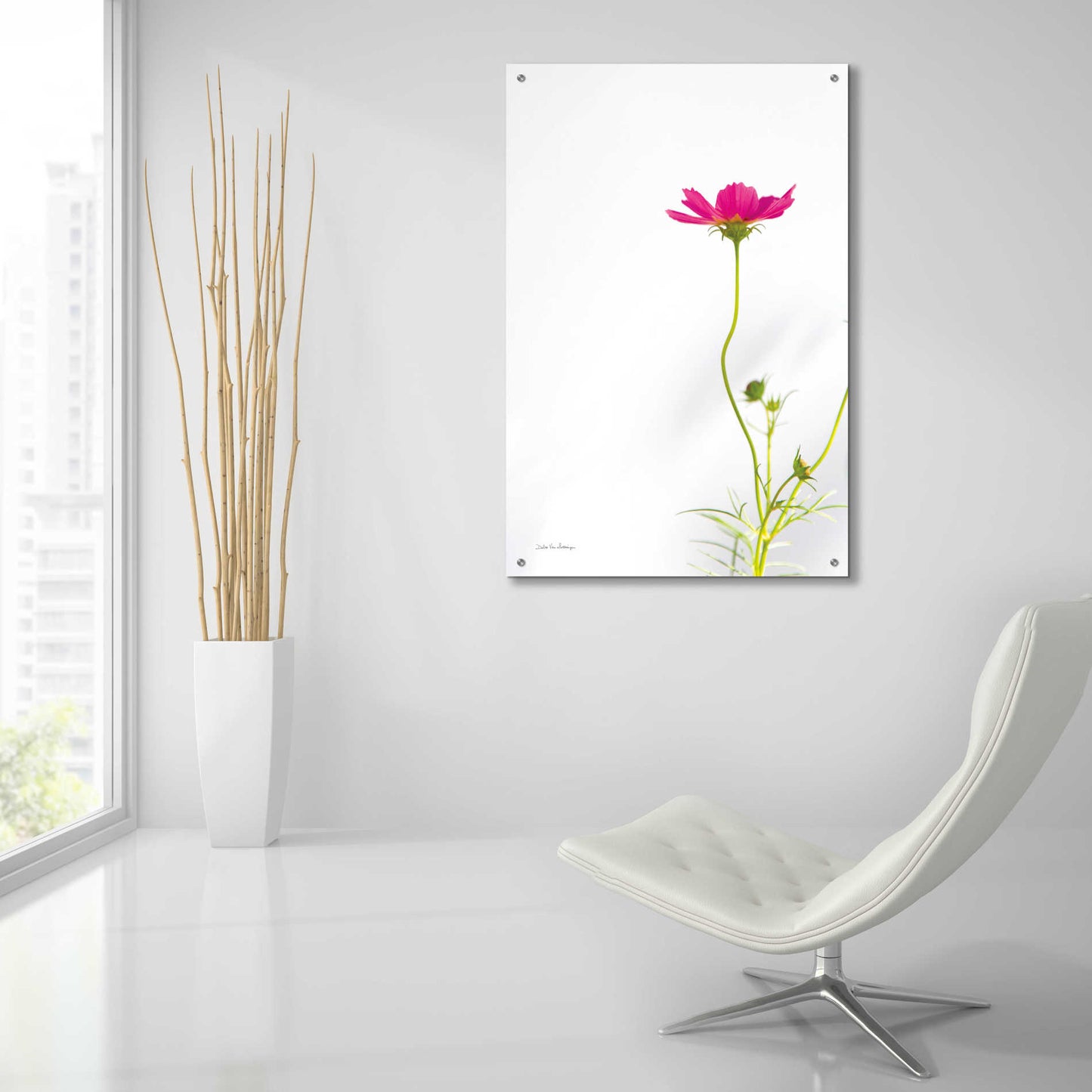 Epic Art 'Magenta Cosmos II' by Debra Van Swearingen, Acrylic Glass Wall Art,24x36