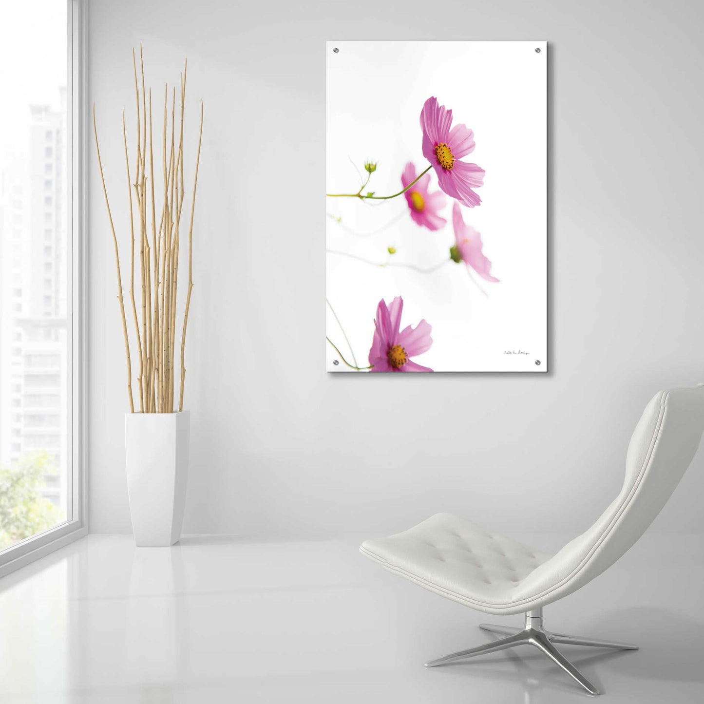 Epic Art 'Pale Cosmos I' by Debra Van Swearingen, Acrylic Glass Wall Art,24x36