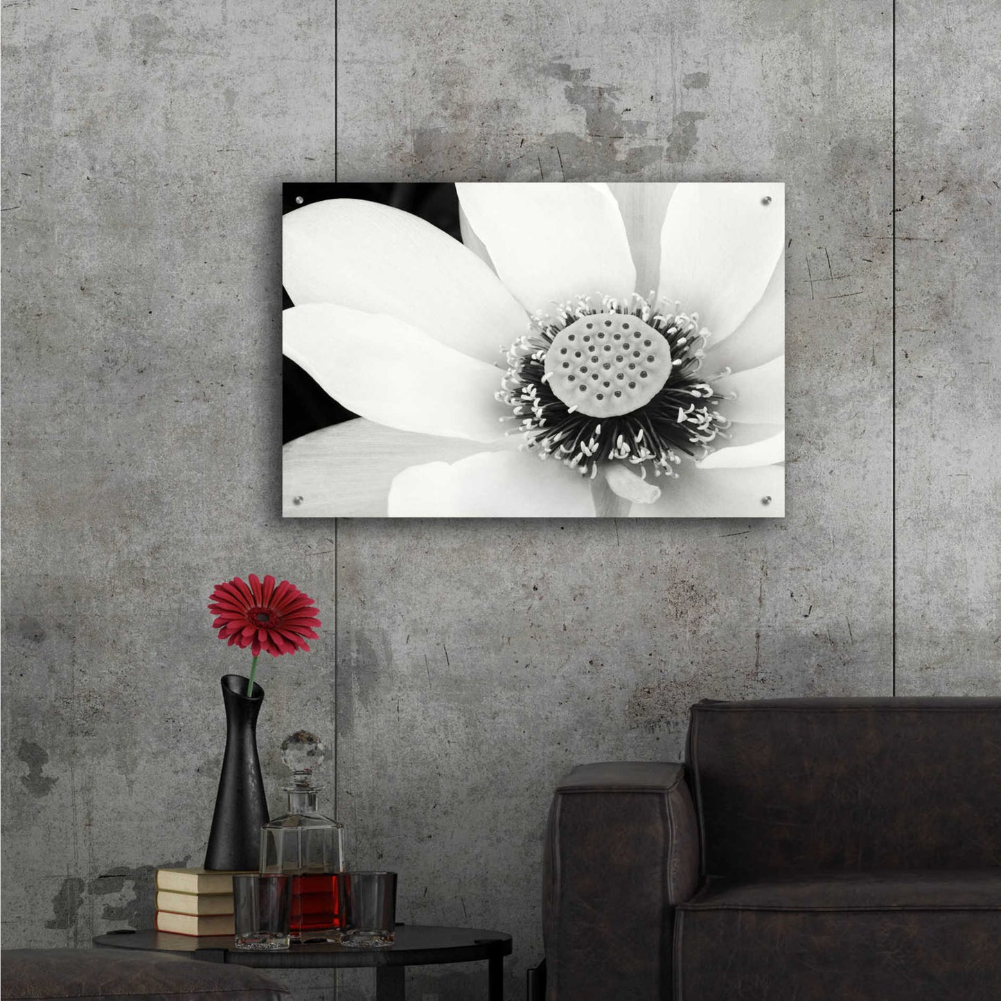 Epic Art 'Lotus Flower IV' by Debra Van Swearingen, Acrylic Glass Wall Art,36x24