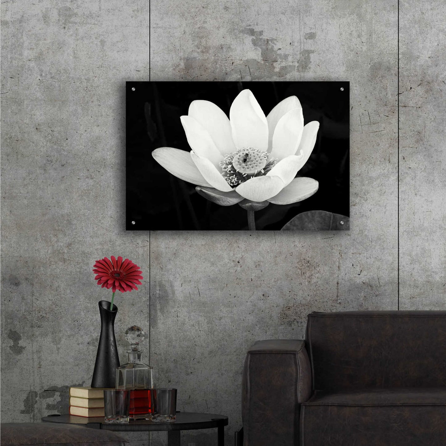 Epic Art 'Lotus Flower I v2' by Debra Van Swearingen, Acrylic Glass Wall Art,36x24