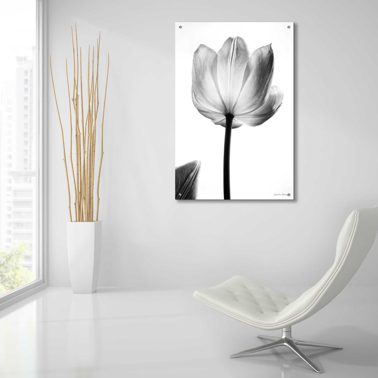 Epic Art 'Translucent Tulips I' by Debra Van Swearingen, Acrylic Glass Wall Art,24x36