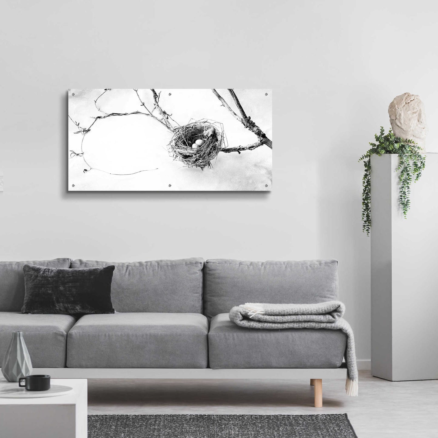 Epic Art 'Nest and Branch III' by Debra Van Swearingen, Acrylic Glass Wall Art,48x24