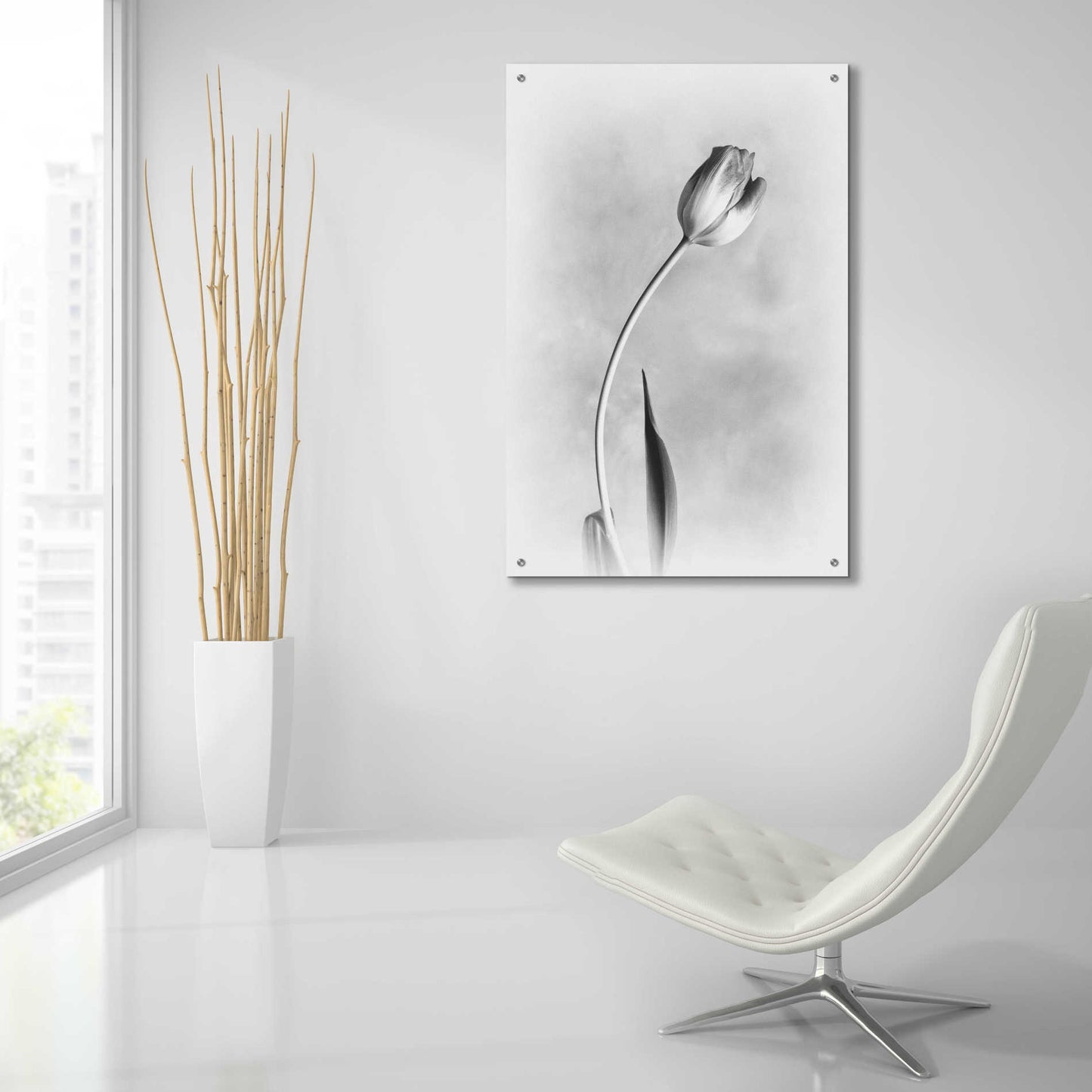 Epic Art 'Soft Tulips I' by Debra Van Swearingen, Acrylic Glass Wall Art,24x36