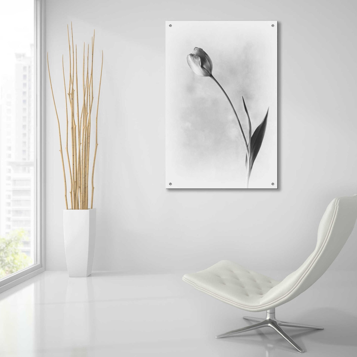 Epic Art 'Soft Tulips II' by Debra Van Swearingen, Acrylic Glass Wall Art,24x36