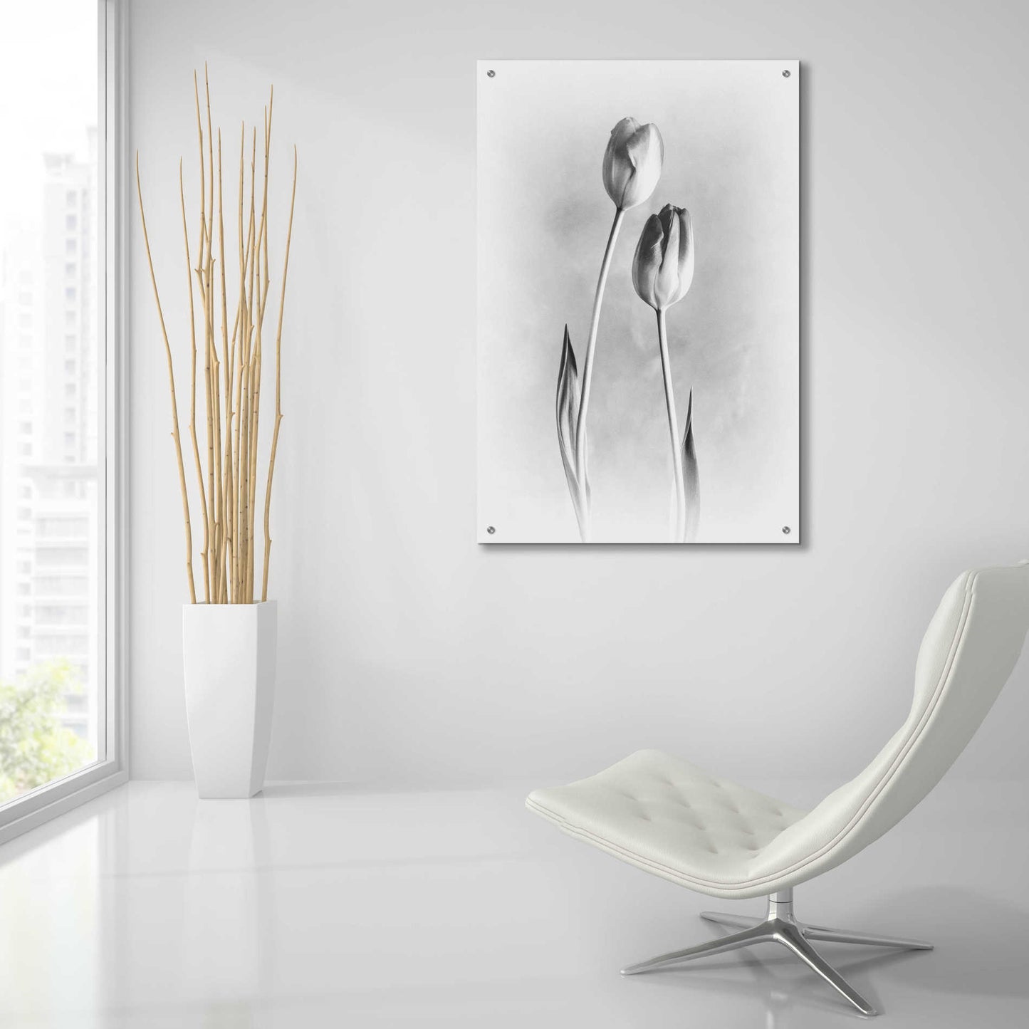 Epic Art 'Soft Tulips III' by Debra Van Swearingen, Acrylic Glass Wall Art,24x36