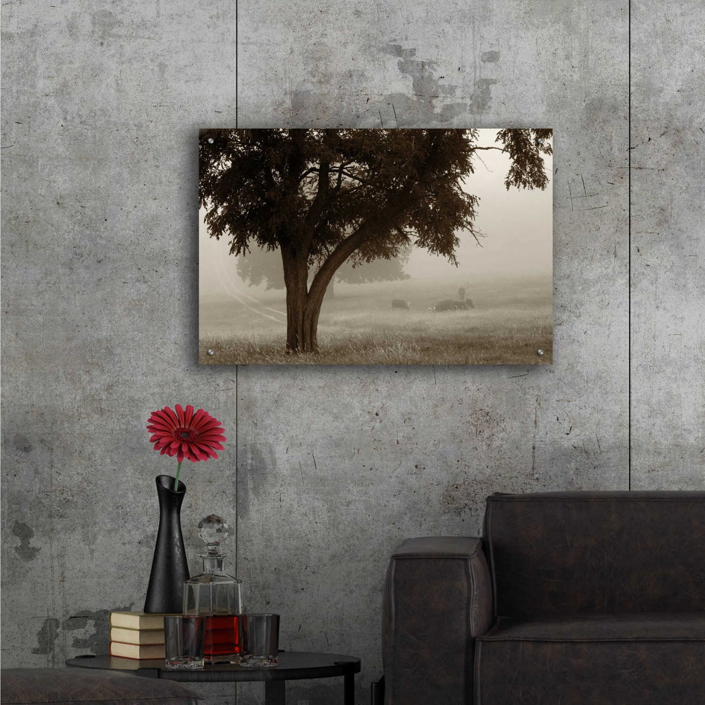 Epic Art 'Calm Mist' by Debra Van Swearingen, Acrylic Glass Wall Art,36x24