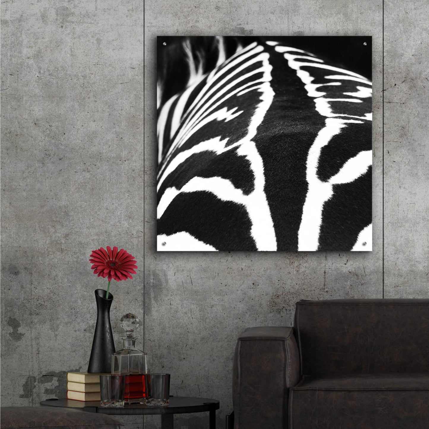 Epic Art 'Zebra V' by Debra Van Swearingen, Acrylic Glass Wall Art,36x36