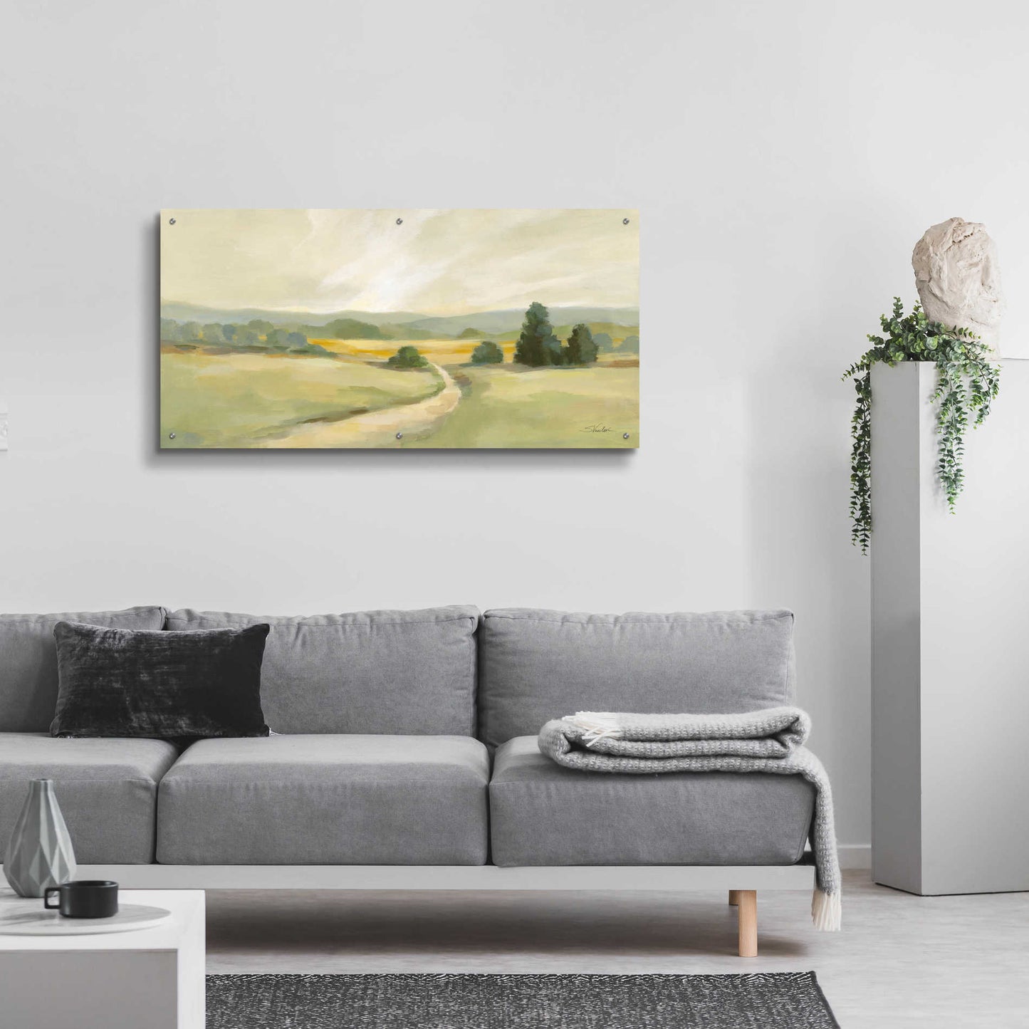 Epic Art 'Sage Hills' by Silvia Vassileva, Acrylic Glass Wall Art,48x24