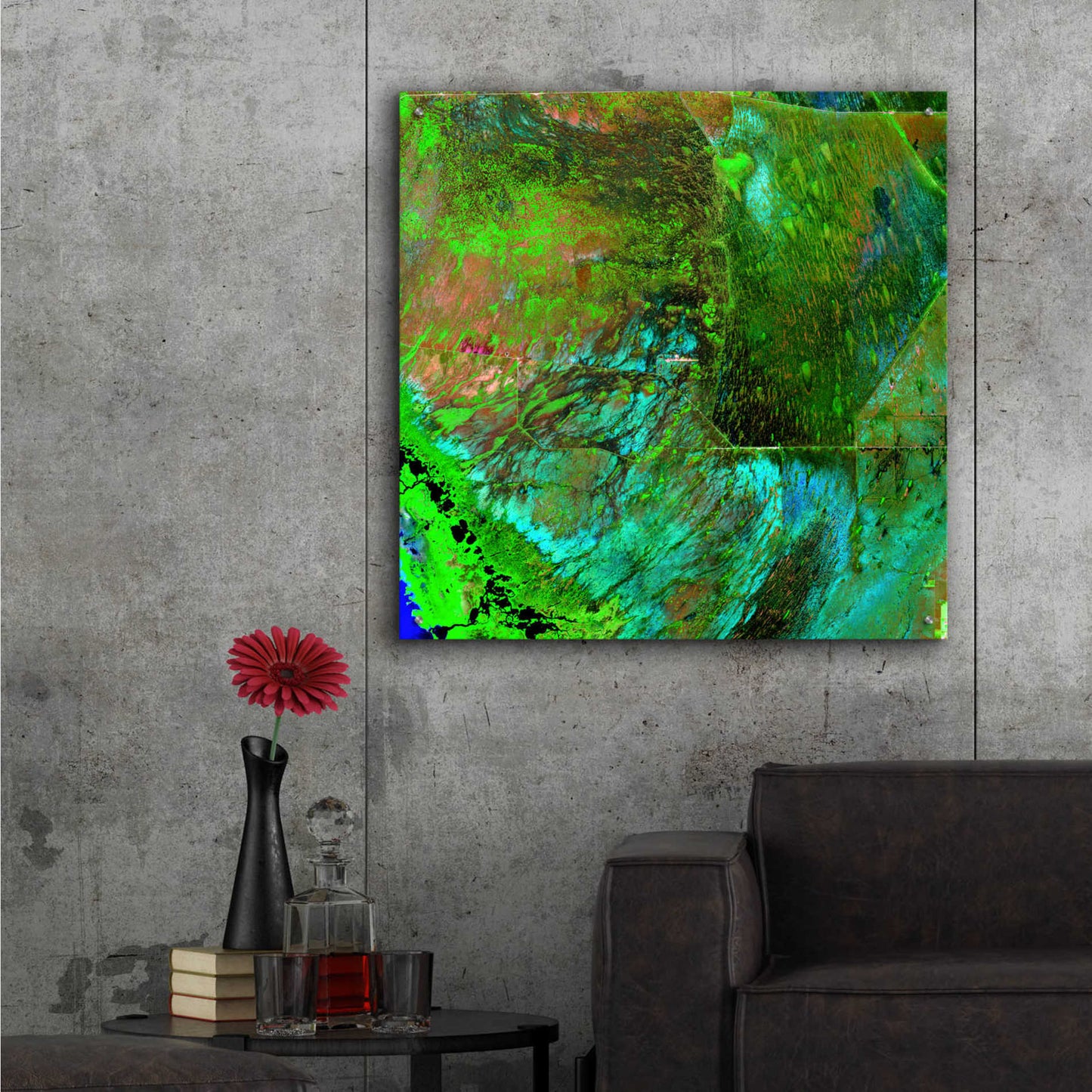 Epic Art 'Earth as Art: Everglades ' Acrylic Glass Wall Art,36x36