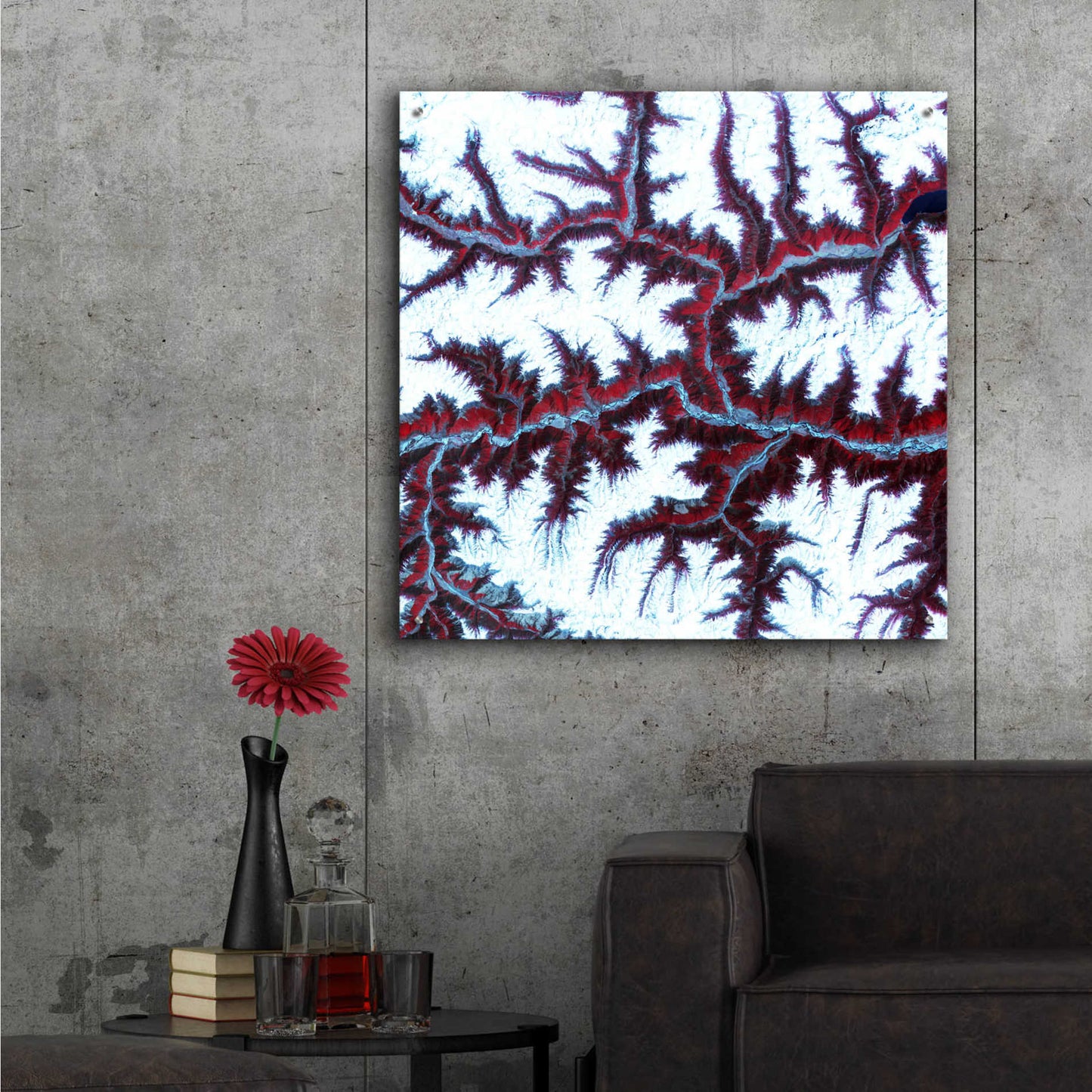Epic Art 'Earth as Art: Himalayas ' Acrylic Glass Wall Art,36x36